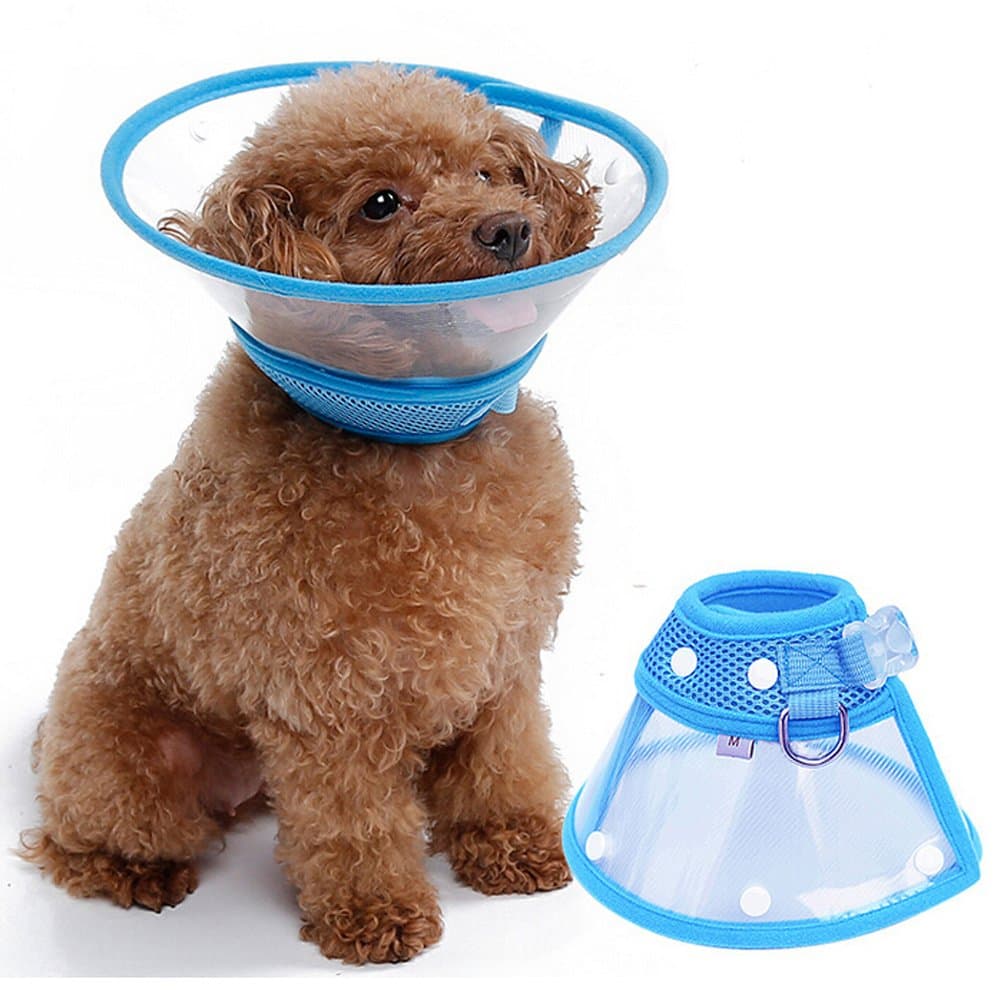 FOREYY Recovery Pet Cone E-Collar for Cats and Small Dogs - Elizabethan Collar with Breathable Soft Edge, Plastic Snap Closure and Stainless Steel D Ring (Blue, XL)