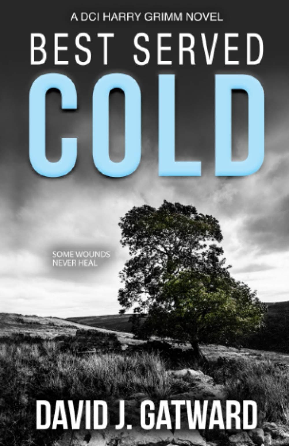 Best Served Cold: A DCI Harry Grimm Novel