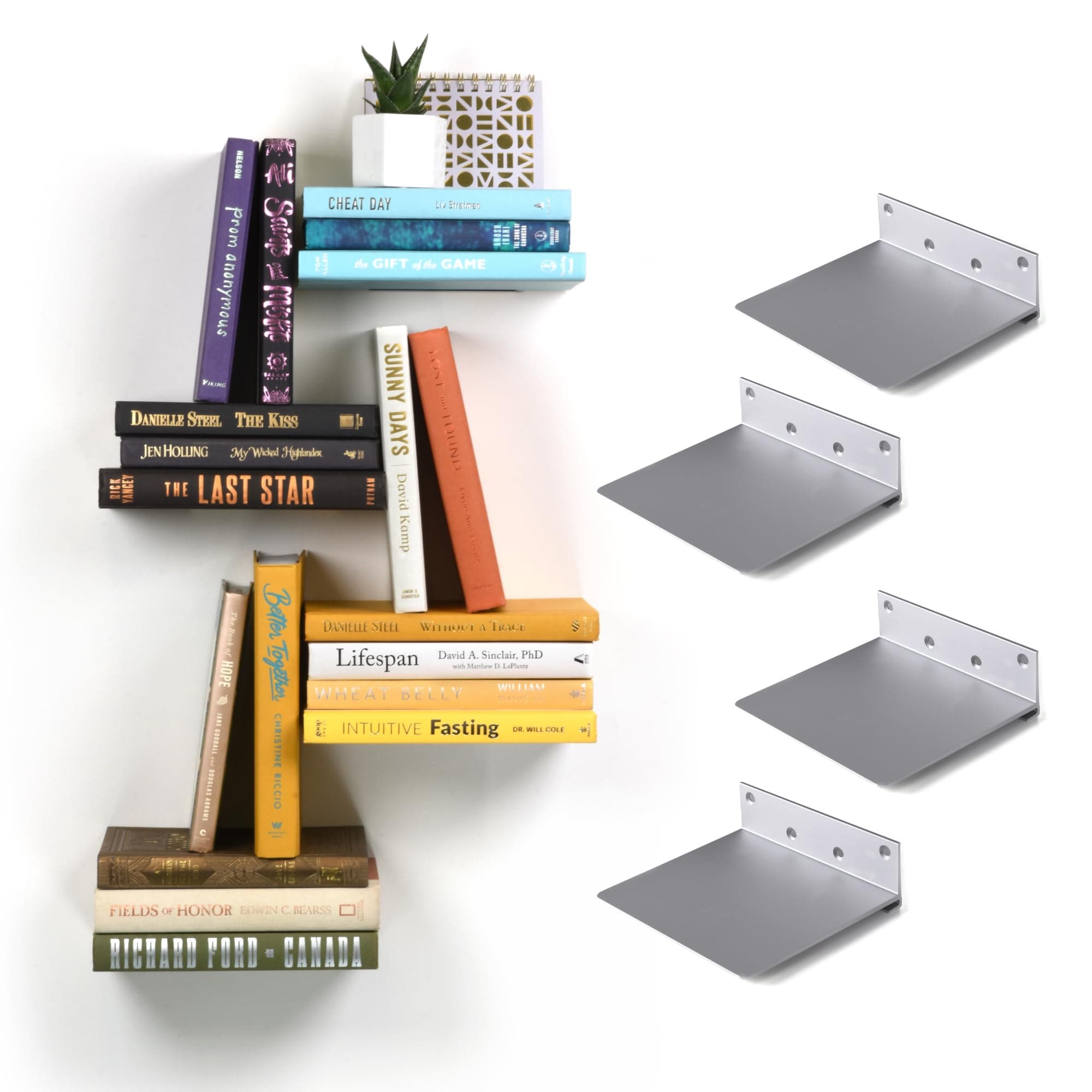 Floating Invisible Bookshelf Wall Mounted
