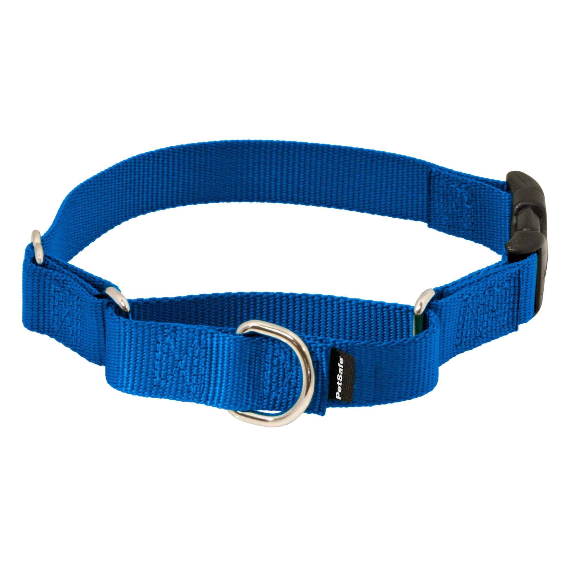 PetSafe Martingale Collar with Quick-Snap Buckle - Adjustable No-Slip Quick Release Dog Collar - Everyday Wear No-Pull Training Aid - 1" Wide - Large - Royal Blue