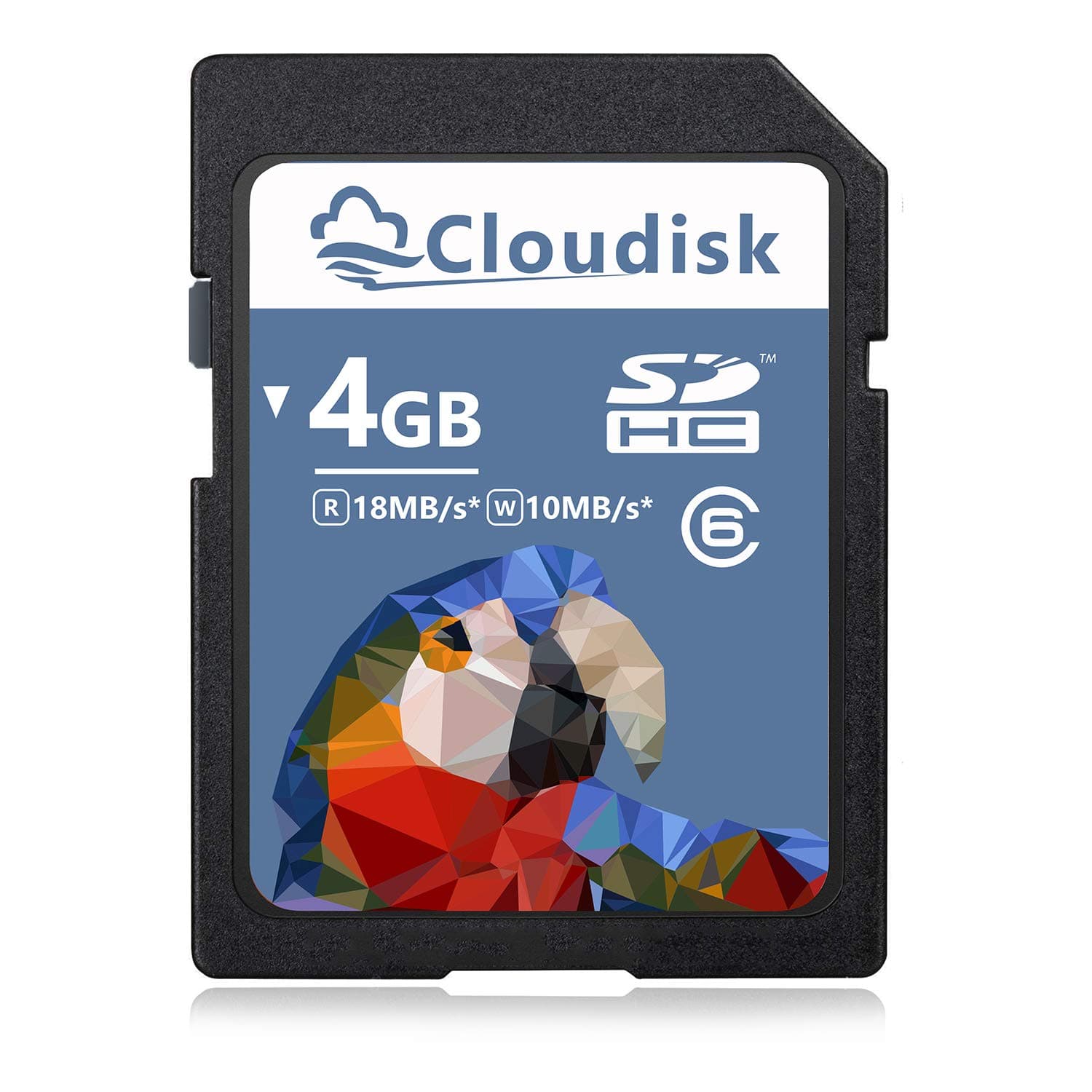 SD Card 4GB SDHC Class 6 Flash Memory Card 4 GB Digital Camera Cards (4 GB)