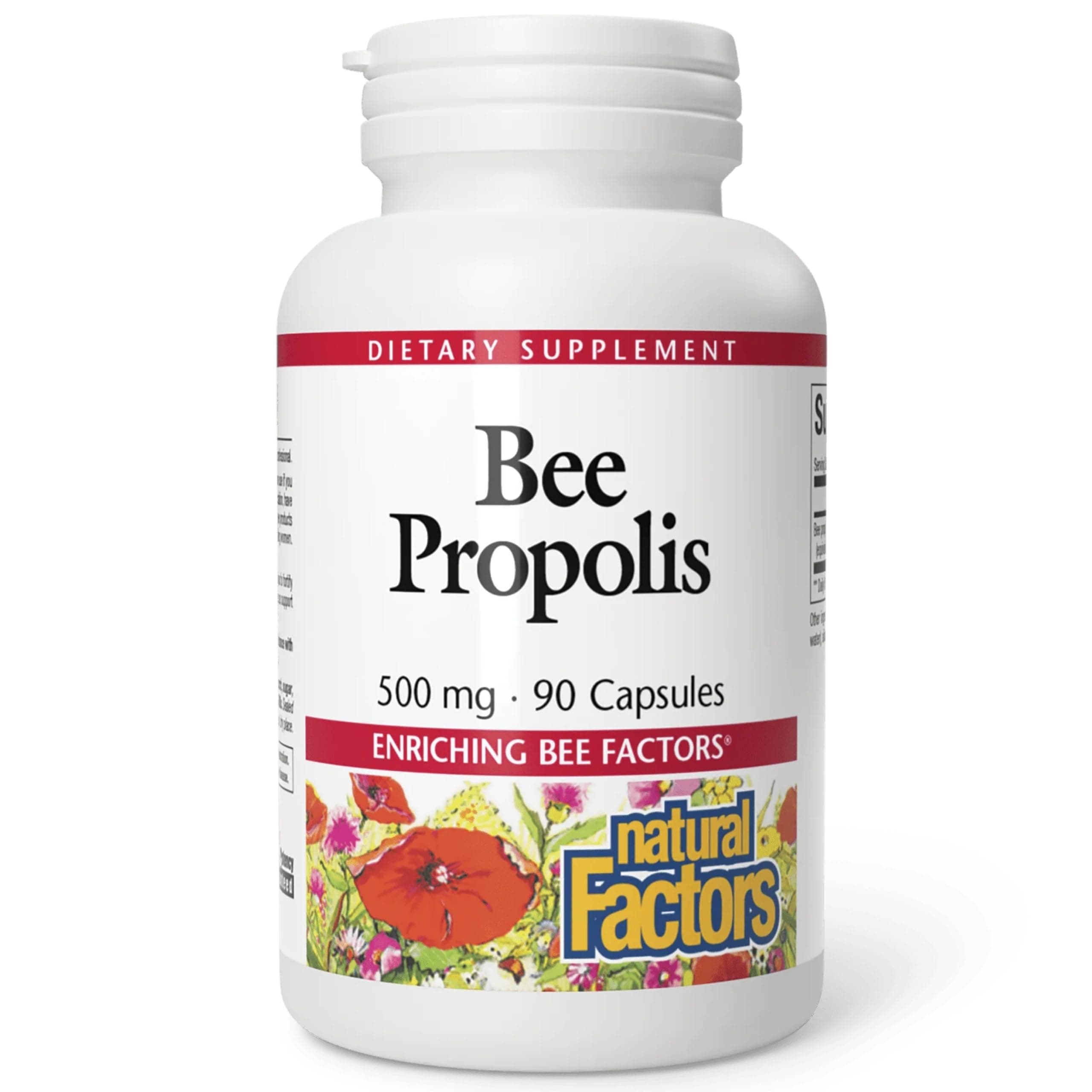 Natural Factors, Bee Propolis Extract 500 mg, Supports a Healthy Immune System, 90 capsules (90 servings)