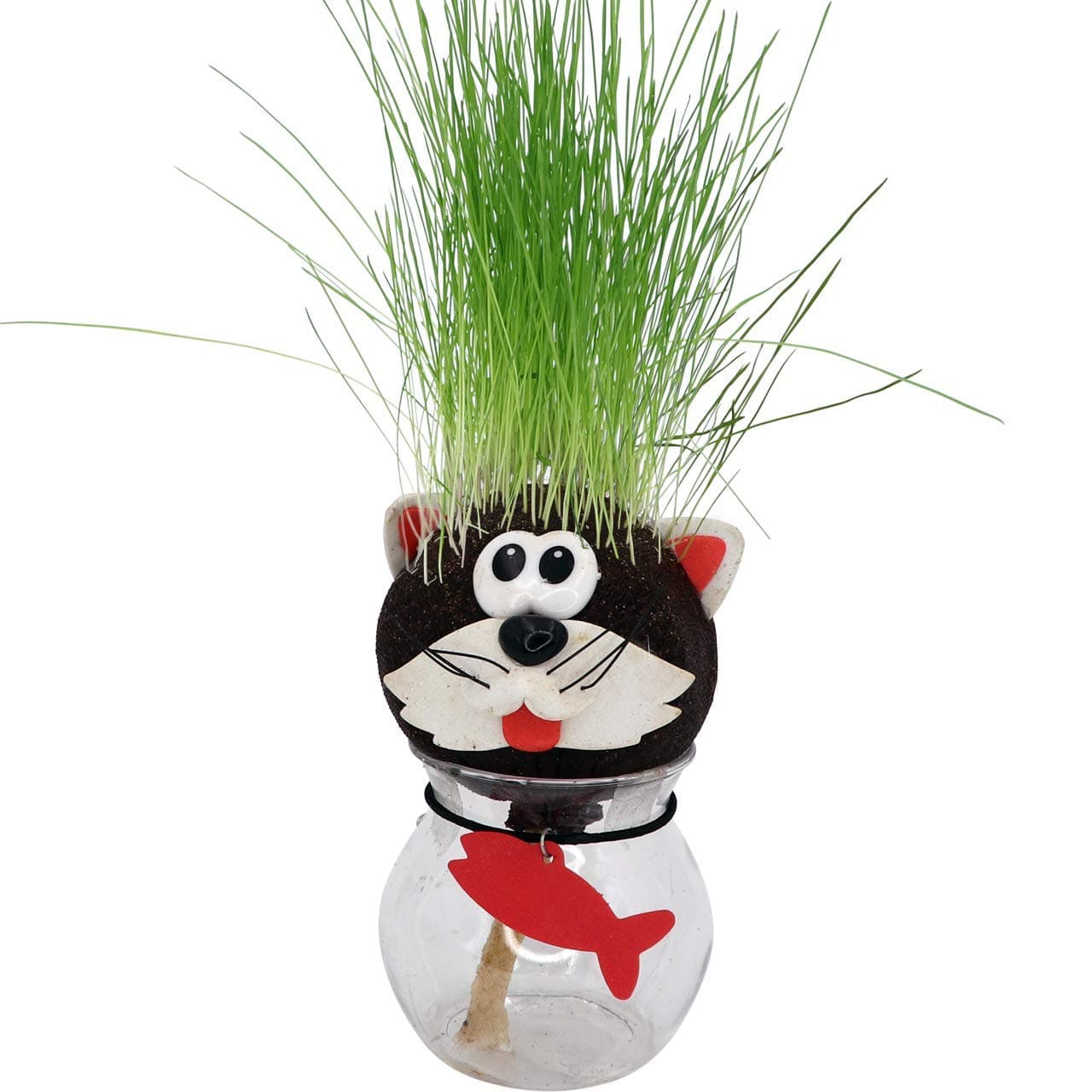 AvoSeedo Grass Head - Funny Fast Growing Grass Head Learning Toy for Kids (Cat)