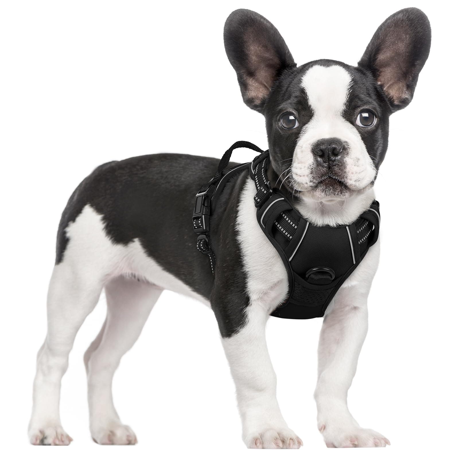 rabbitgoo Dog Harness Small Dog No Pull Pet Harness with 2 Leash Clips, Adjustable Soft Padded Pet Vest Harness, Reflective No-Choke with Easy Control Handle for Training or Walking, Black, S