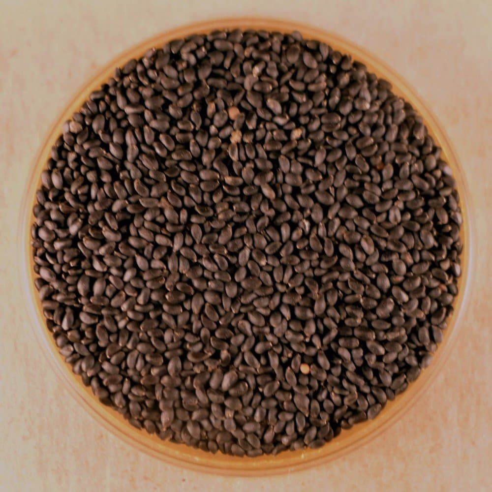 Tukmaria Seeds - 50 lbs Bulk