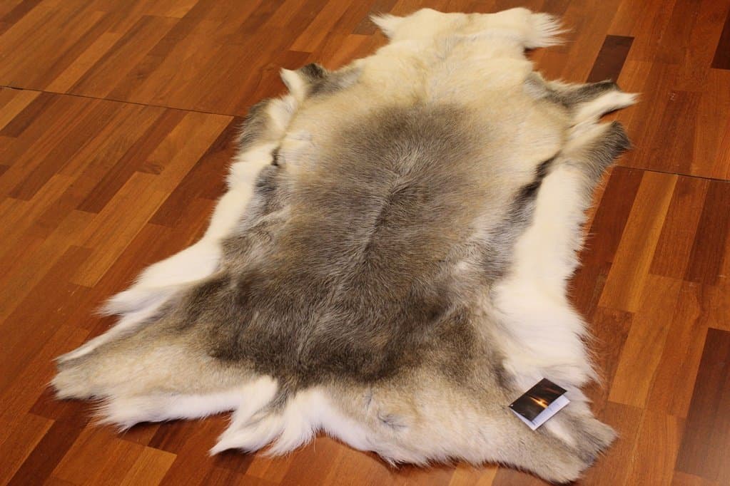 Reindeer skin - XXL # 4