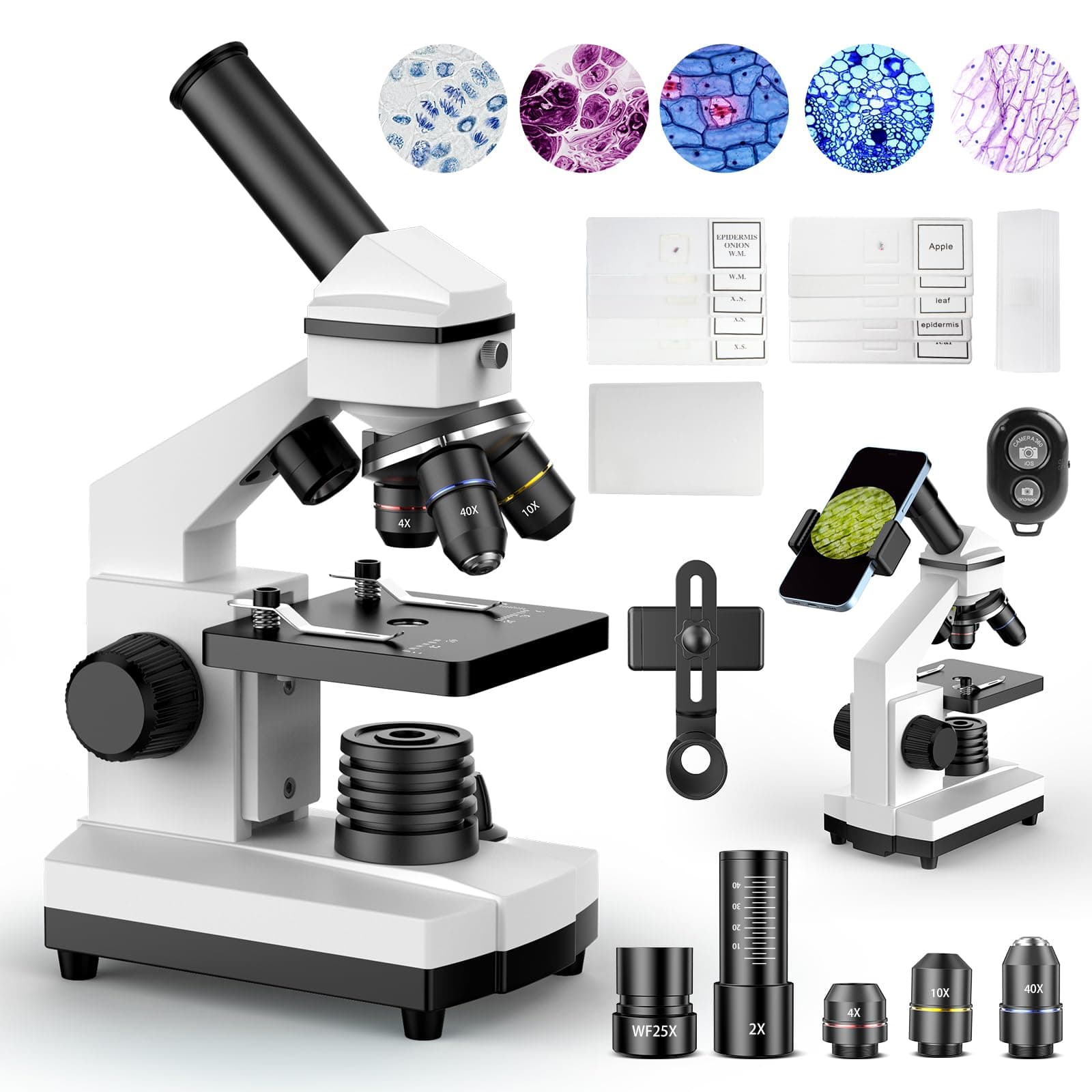 PalliPartners Compound Microscope for Adults & Students - 100X-2000X High-Power Biological Microscope for Students, School Lab & Home Education, with Slides Set & Phone Adapter (White)