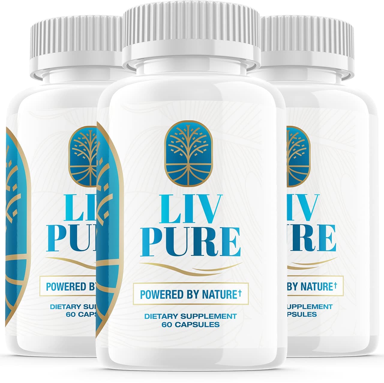 (3 Pack) Liv Pure Powered by Nature Advanced Formula Liver Live Pure Perification Function Supplement (180 Capsules)