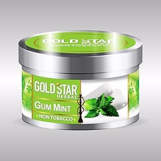 GOLDSTAR Herbal NON Tobacco Smoke GUM MINT Flavor Premium Hookah 200 gm