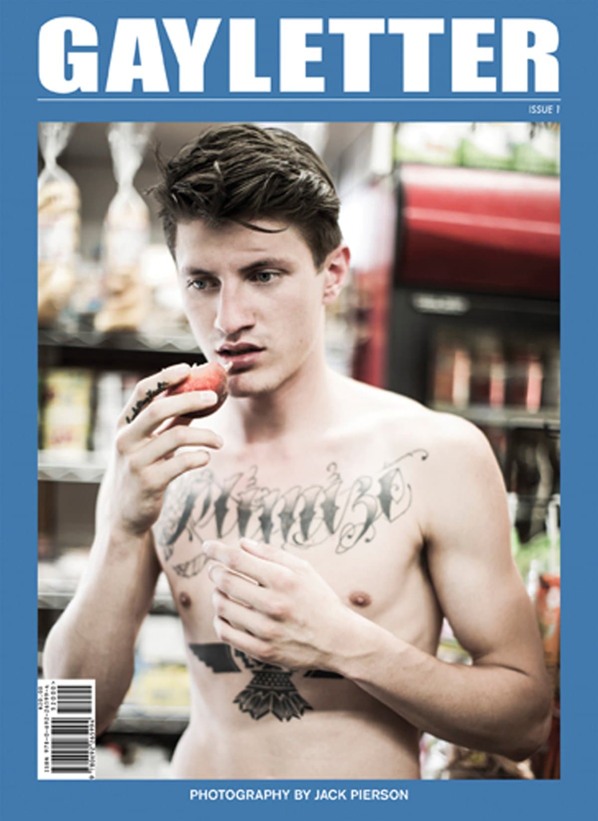 GAYLETTER Paperback – October 31, 2014