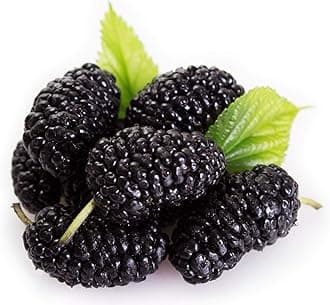 Mulberry,Fresh,125 Gram