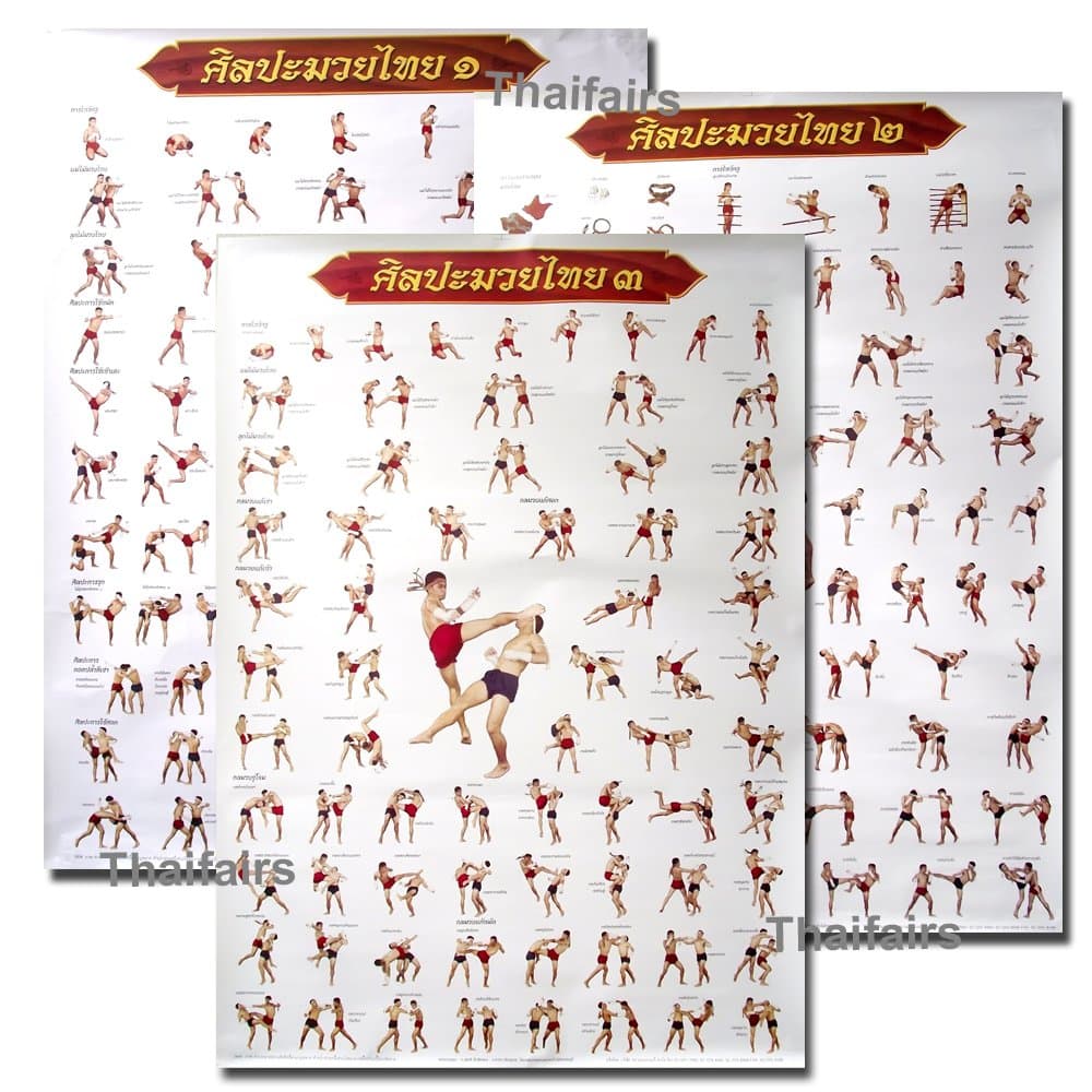 Siam Trade Muay Thai Kickboxing Technical Training Education Poster