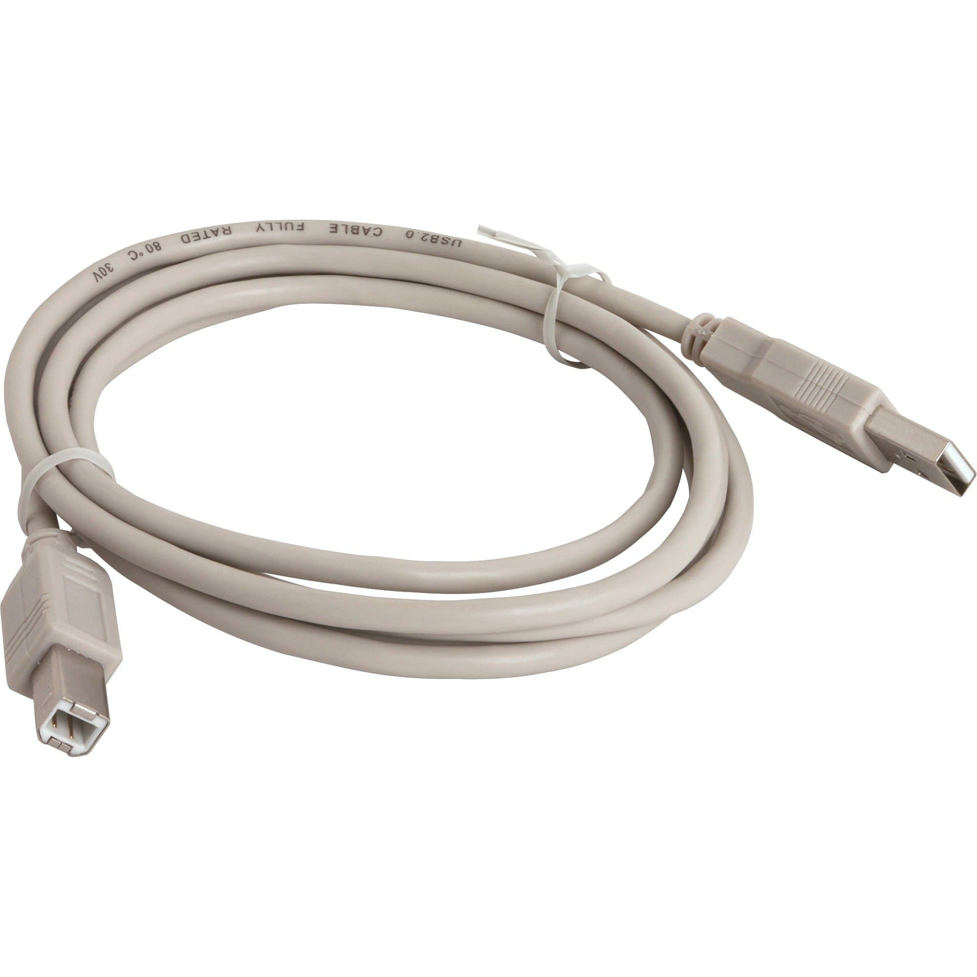 Compucessory Products - A-B USB Cable, Plug and Play, 6', Gray - Sold as 1 EA.