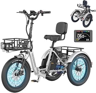 MOONCOOL Electric Tricycle for Adults, 500W/750W 48V Folding Electric Trike Peak Power 1100W, 20"x3.0" Fat Tire 3 Wheel Ebike, Aluminum Adult Tricycle with Removable Battery, Rear Differential