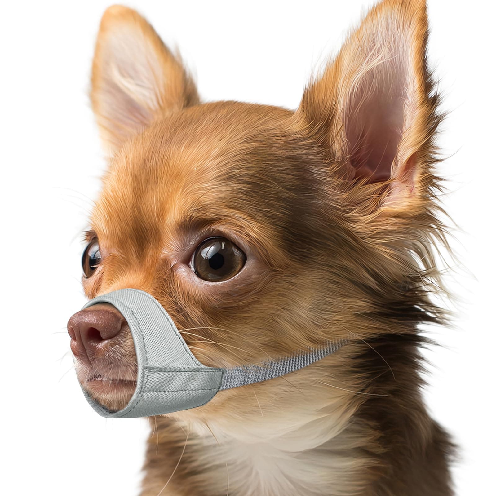 Mayerzon Short Snout Dog Muzzle, Small Muzzle for Chihuahua, American Bully Boxer Puppies, Soft Fabric, Mouth Cover for Vet Visits and Prevents Biting or Chewing