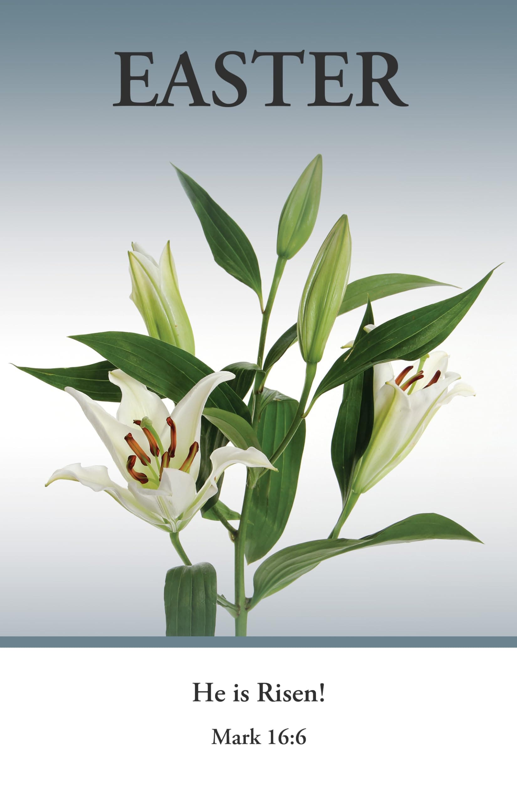 Easter Bulletin: He Is Risen (Package of 100): Mark 16:6 (Kjv)