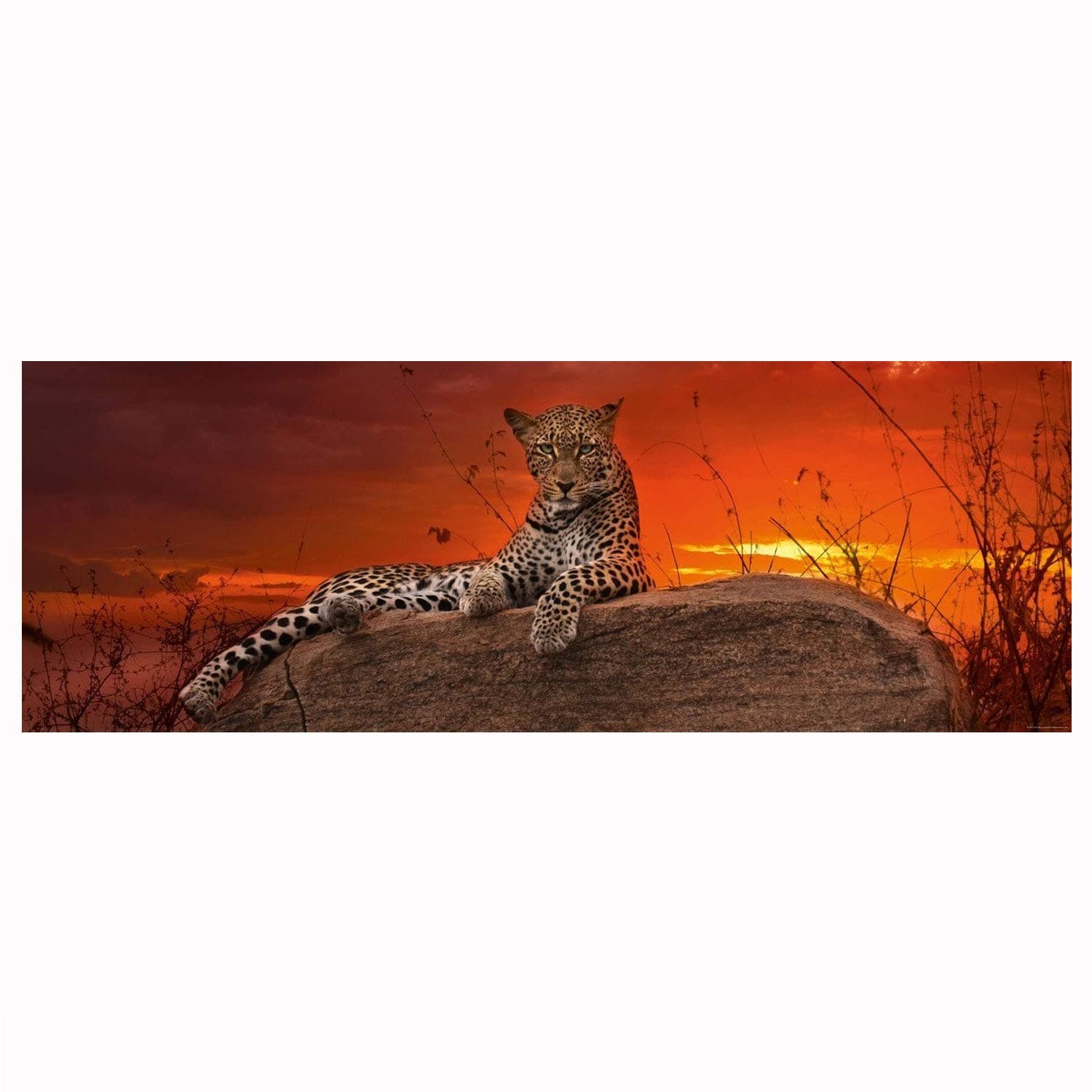 Heye Jigsaw Puzzle: - Panorama: Red Dawn (2000 Pieces)