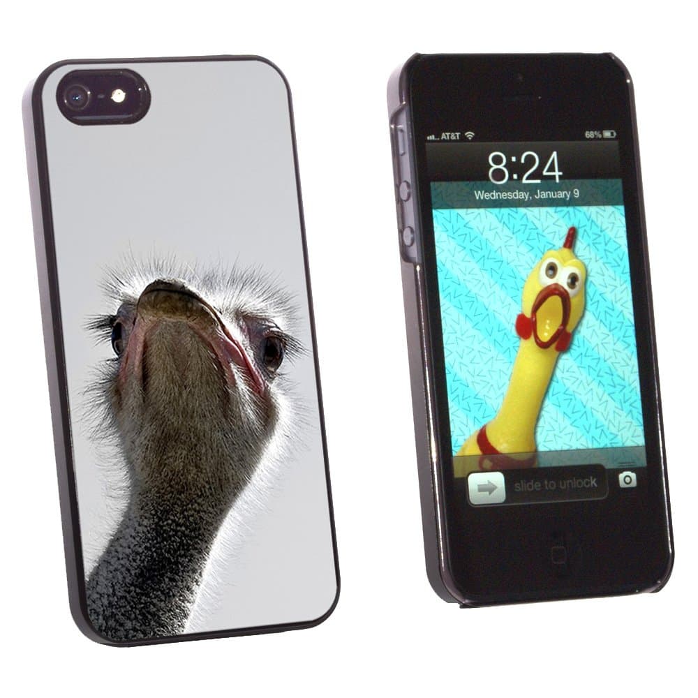 Graphics and More Ostrich Bird - Funny - Snap-On Hard Protective Case for Apple iPhone 5/5s - Non-Retail Packaging - Black