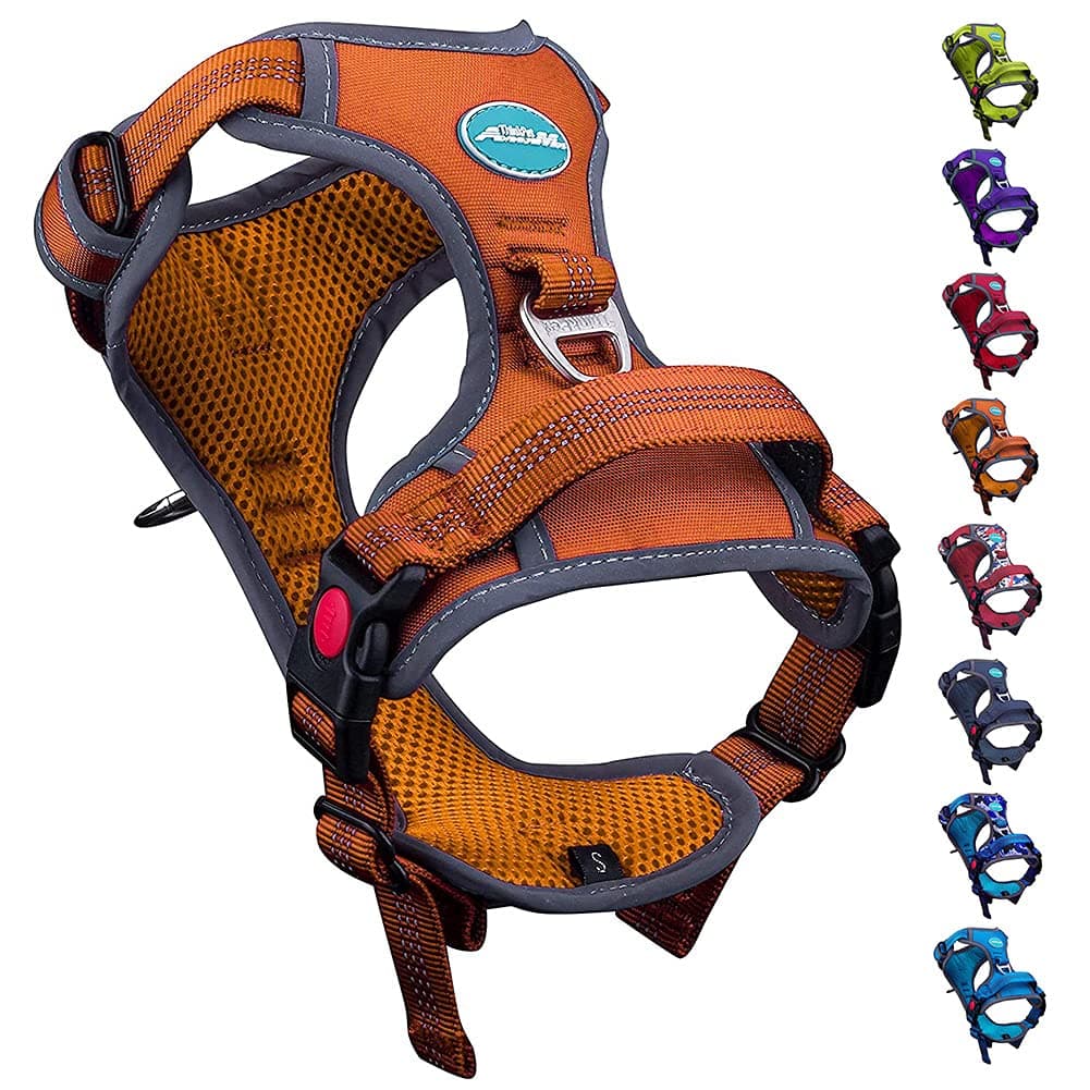 ThinkPet Halloween's Day No Pull Harness Breathable Sport Harness with Handle-Dog Harnesses Reflective Adjustable for Medium Large Dogs,Back/Front Clip for Easy Control S Orange