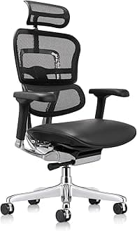 Ergohuman Eurotech LEM4ERG Executive High Back Mesh Office Chair with Leather Seat - Tilt Tension Control, Tilt Lock, Back Angle & Height, Synchro Tilt, Seat Height & Depth, and Arm Height Adjustments