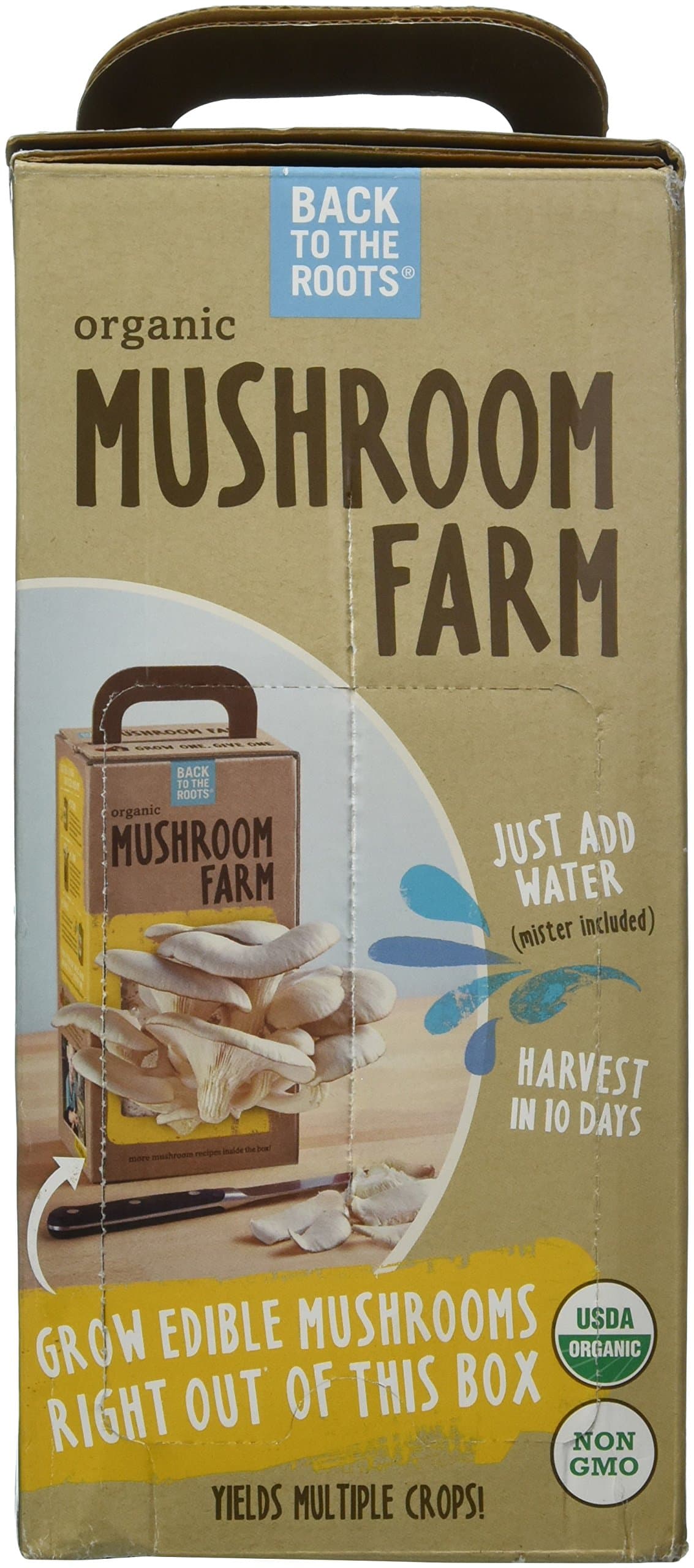 Back to the Roots Grow Kit 1 pk