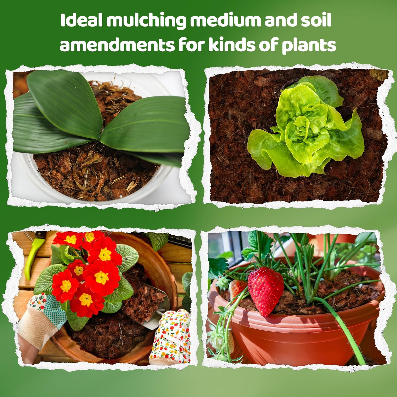 Coco Chips Substrate 2.2 LBS, Organic Coconut Husk Brick with Low EC and pH Balanced, Easy to Expand Coco Coir Mulch Medium for Garden Flowers & Reptile Bedding (2 Pcs)