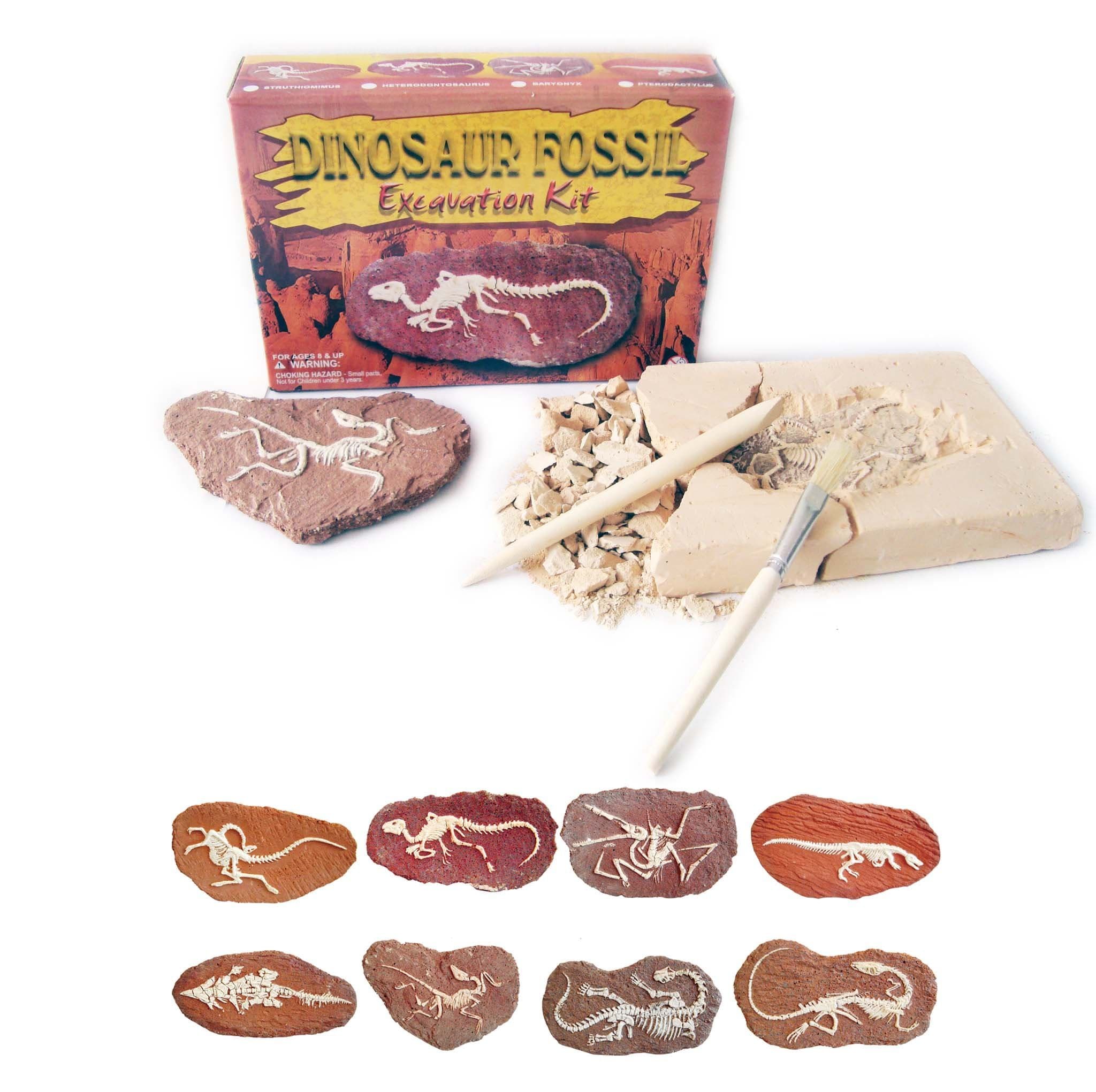 Large Dinosaur Fossil Excavation Kit