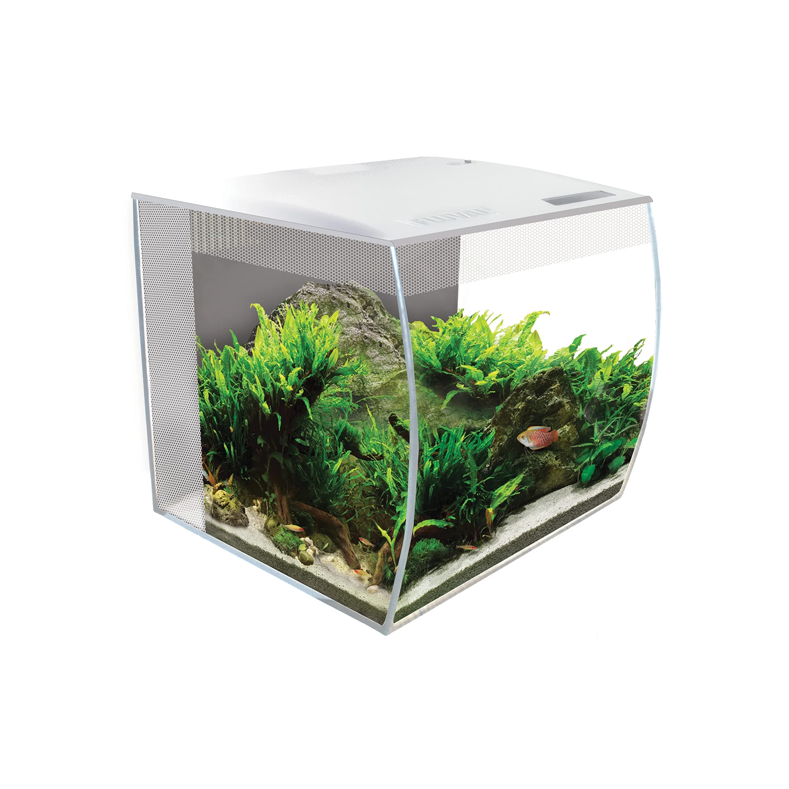 Fluval Flex White Tank Aquarium Kit, 9 Gallon