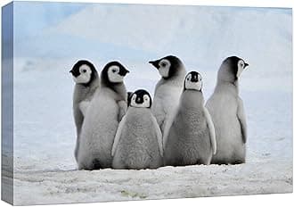 Canvas Wall Art - Giclee Print Animals Home Decoration 16" x 24" CVS-LISA-ANML-011-16x24x1.50