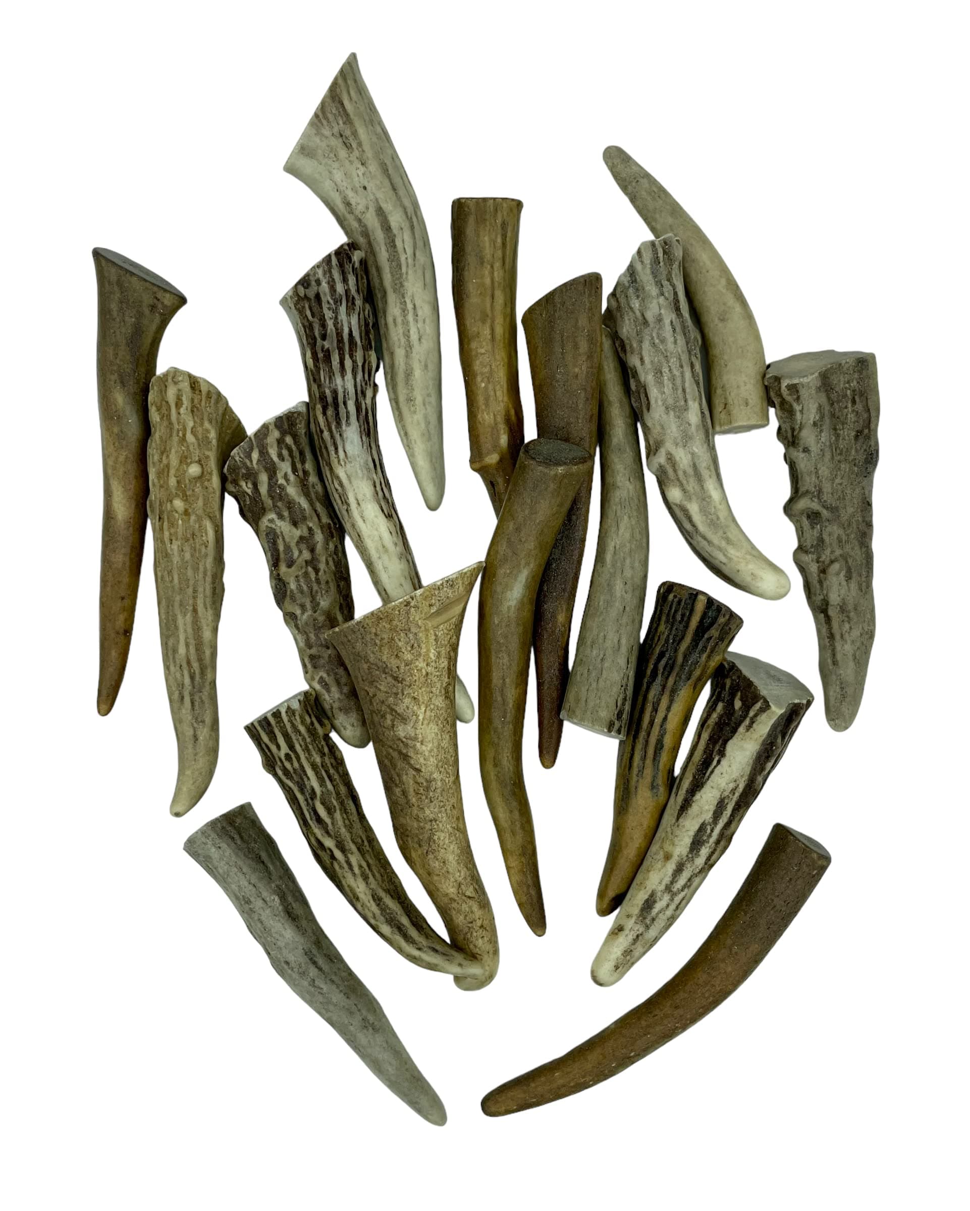 Deer Valley Dog Chews Deer Antlers Tips - 10 Pieces (3-5 inches Long) Polished Points Used for Bracelets, Necklaces and Key Chains (Home Décor and Jewelry Making) (Natural Brown)