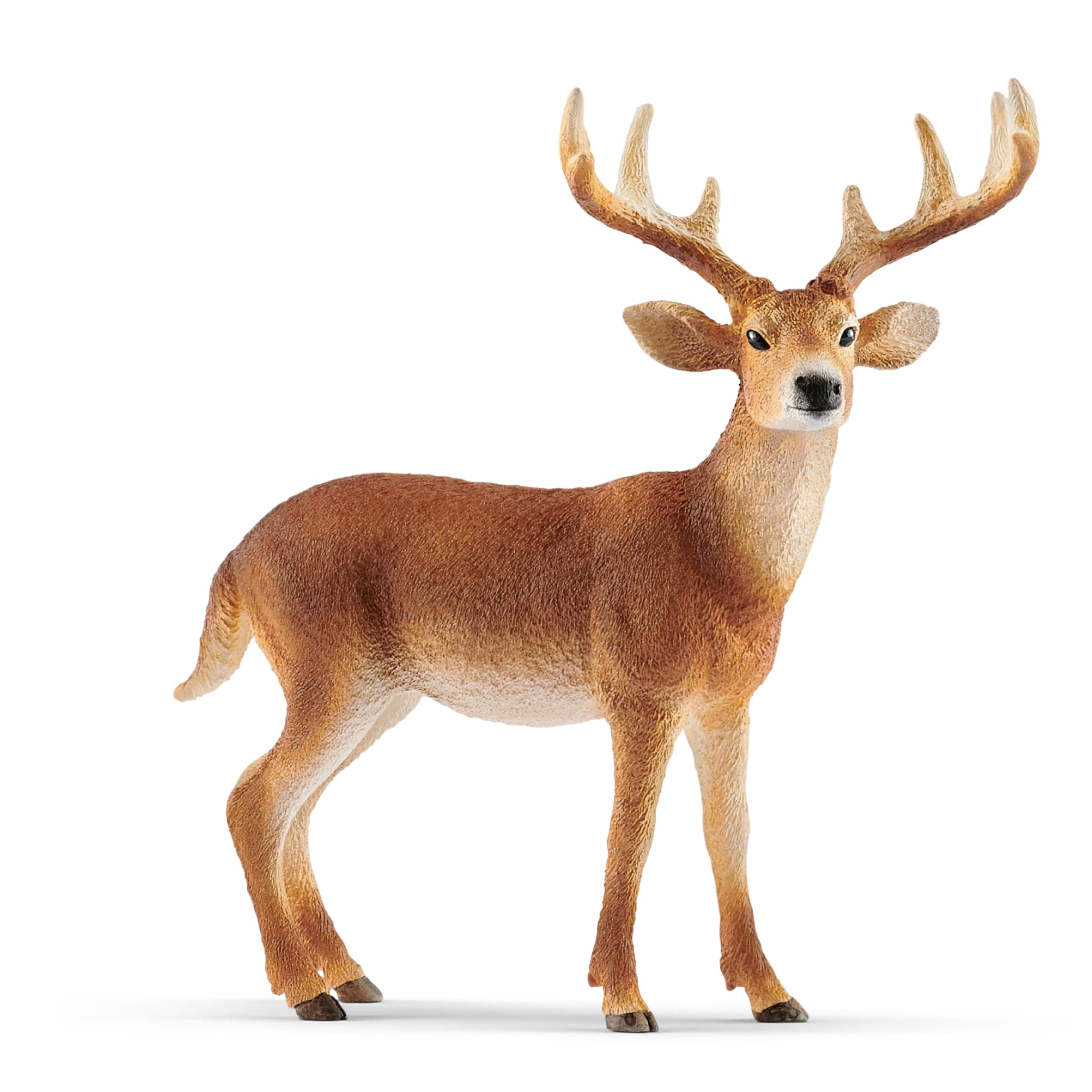 Schleich Buck
