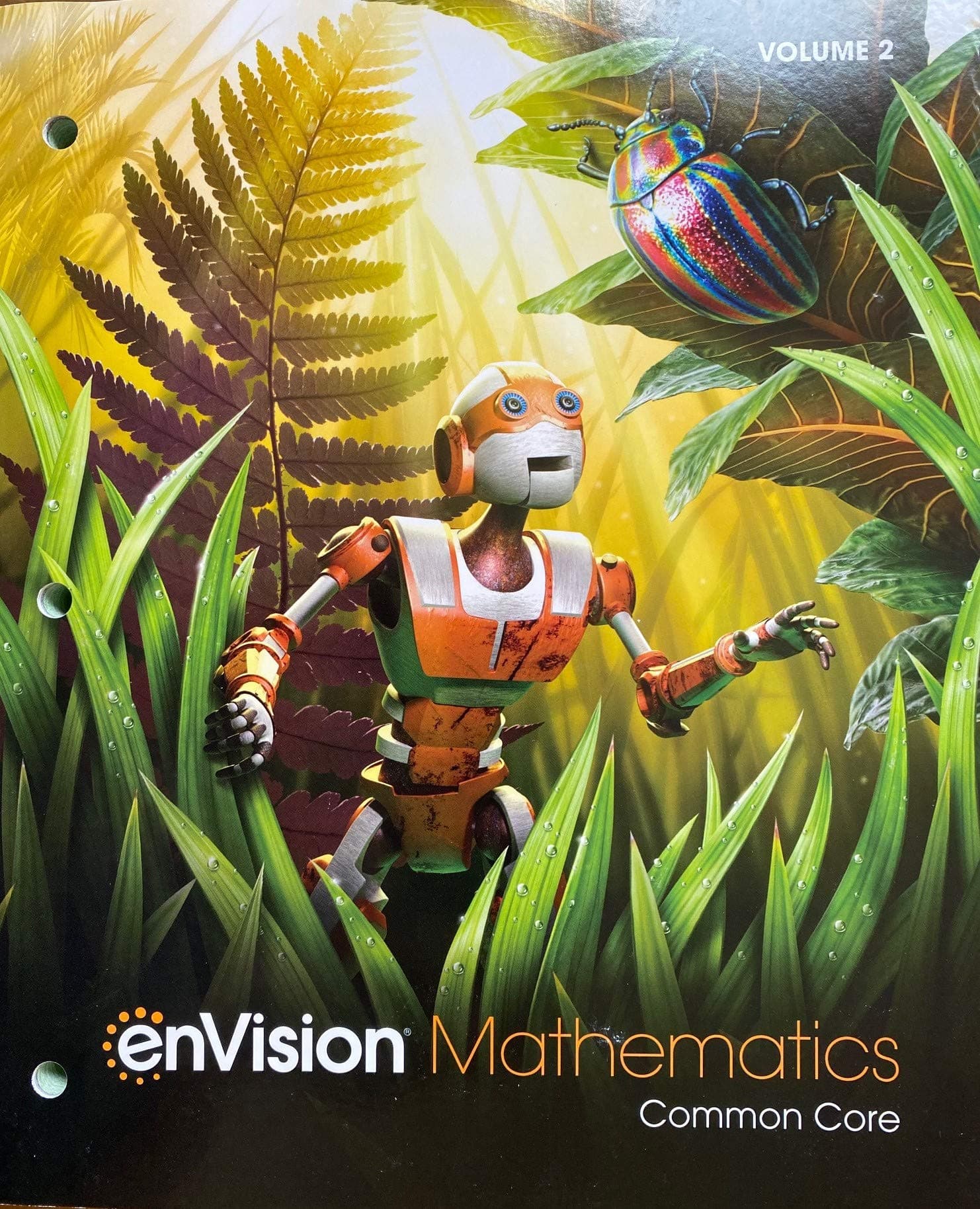 ENVISION MATHEMATICS 2021 COMMON CORE STUDENT EDITION GRADE 6 VOLUME 2