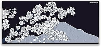 X-Ray X-Raypad Aqua Control 2 Gaming Mouse Pad, Ultra-High Precision Mouse Pad with Perfect Speed and Control Capability, Designed for Fps Players with Low DPI Requirements