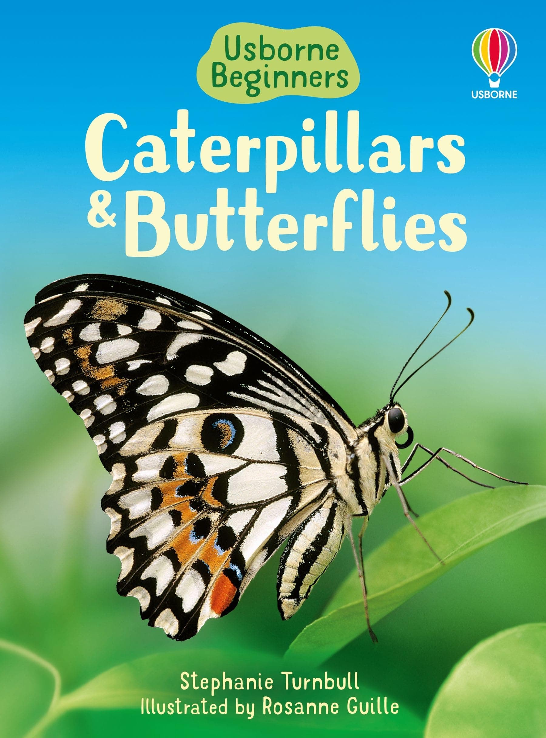 Caterpillars and Butterflies (Beginners)