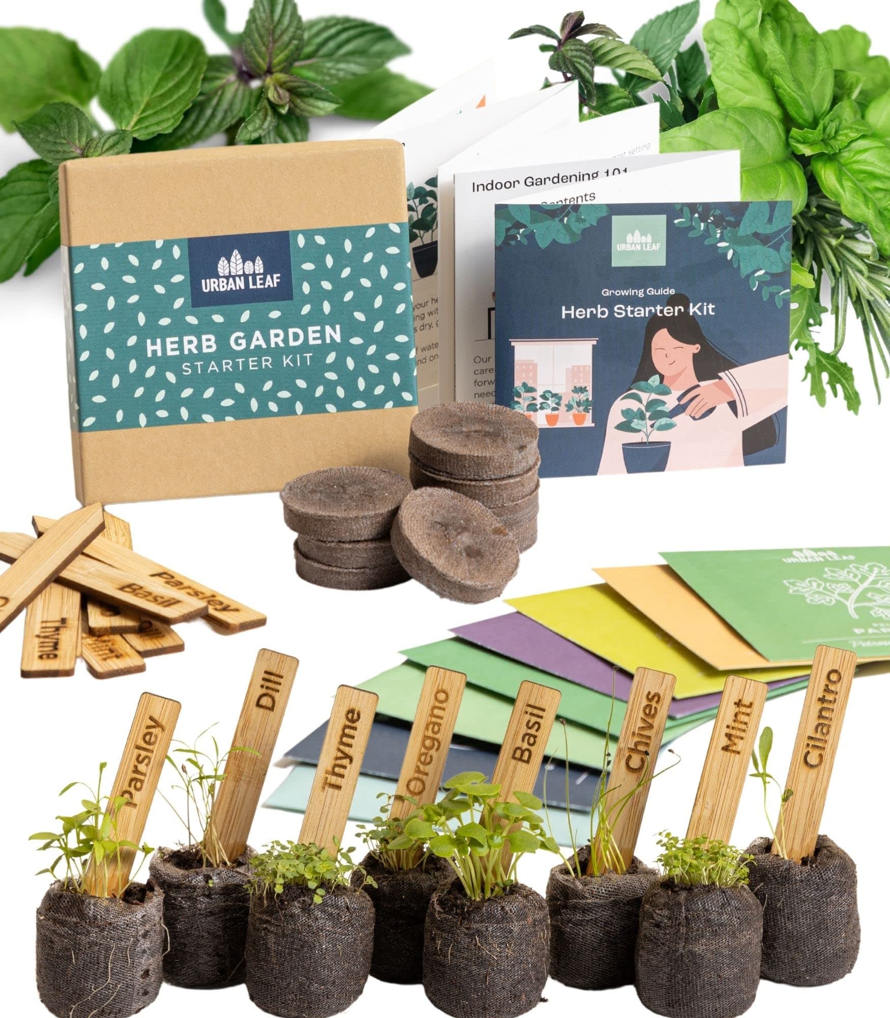 Indoor Herb Garden Starter Kit - Soil Starter Discs, Compact Herb Seed Varieties, Bamboo Labels and Detailed Instructions - DIY Kitchen Grow Kit for Growing Herb Seeds Indoors