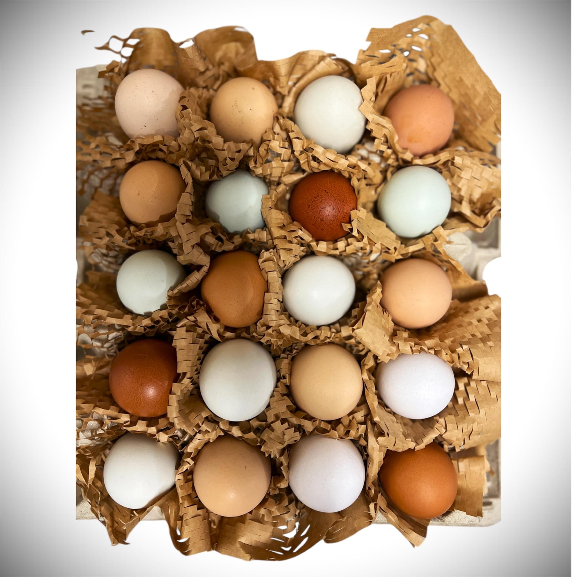 Free to Range Chicken/Hen Eggs (20)