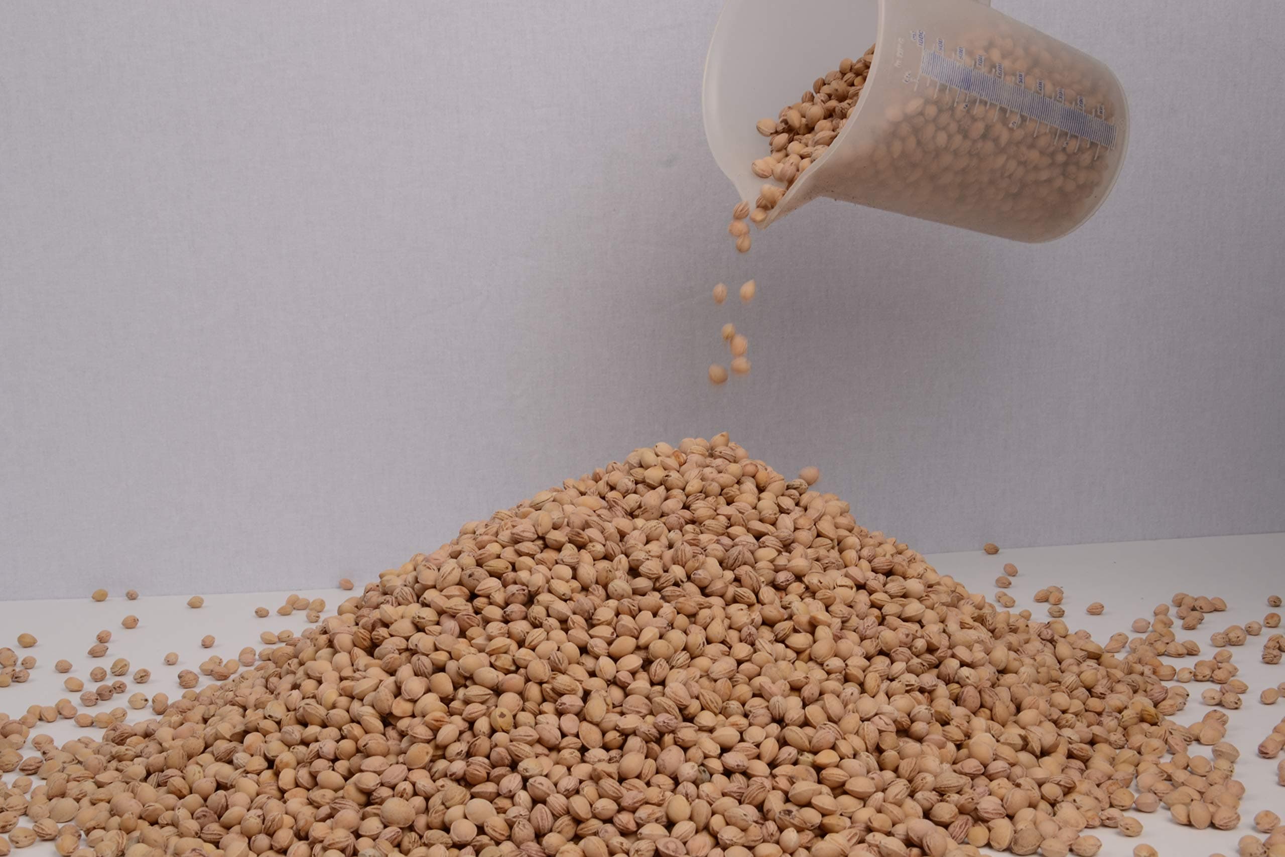 Loose cherry stones, cleaned - cherry pits for heating pads 2 kg