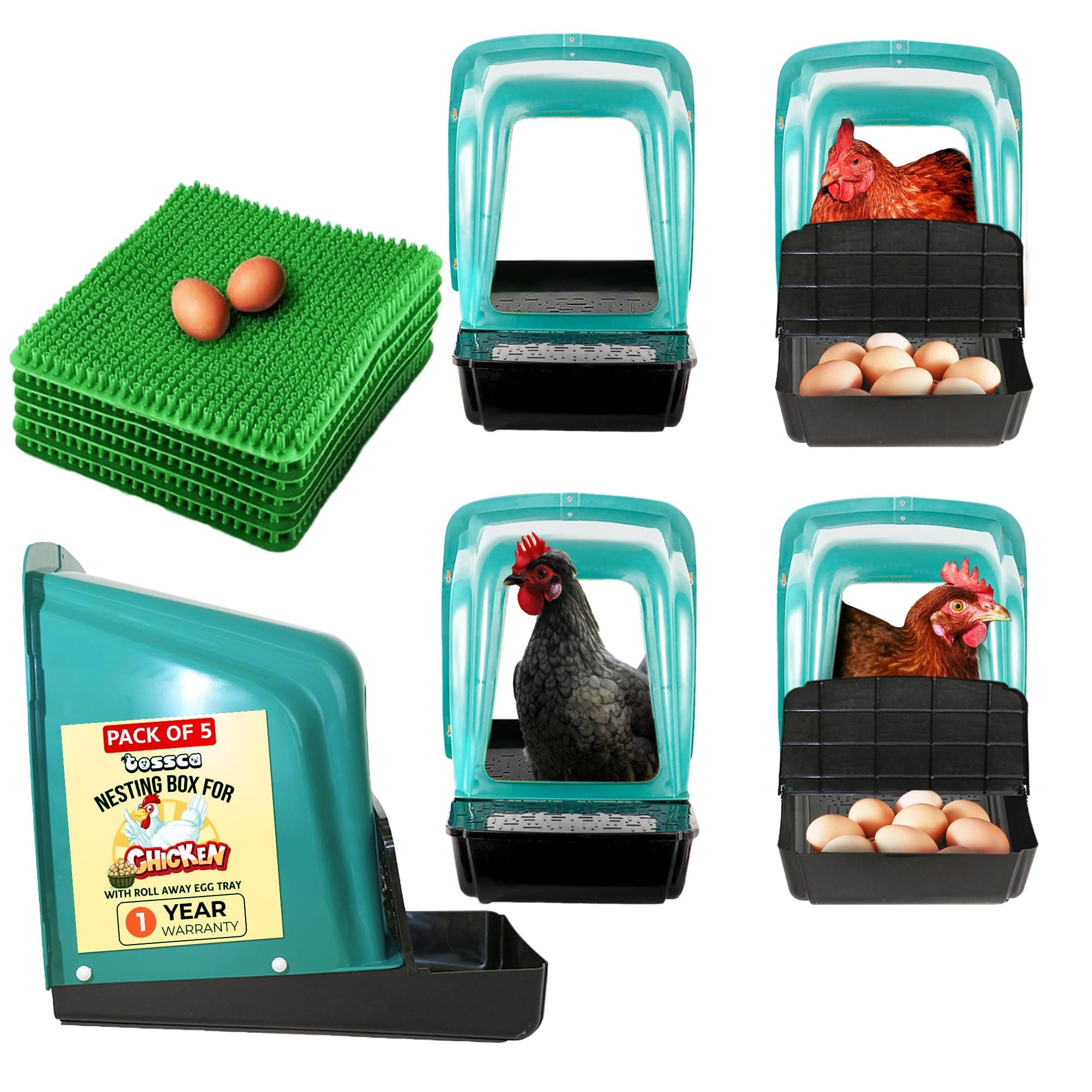 Nesting Boxes for Chicken Coop | Roll Away Hen House for Laying Eggs | Durable Plastic Chick Brooder Box with Perch & Pull Out Egg Tray for Poultry Farm | Chicken Coop Accessories (Pack of 5)