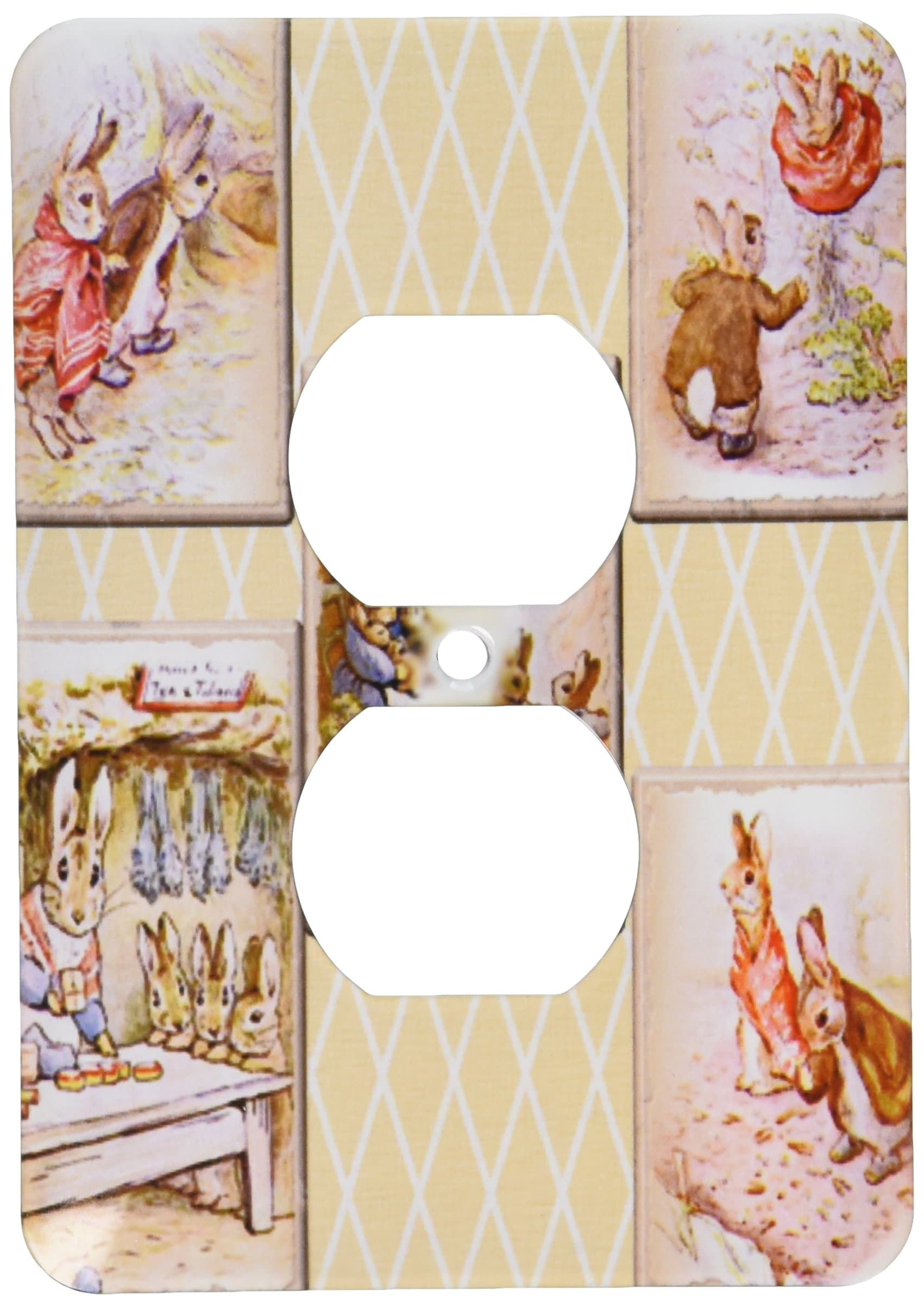 3dRose LSP_79405_6 Plug Outlet Cover