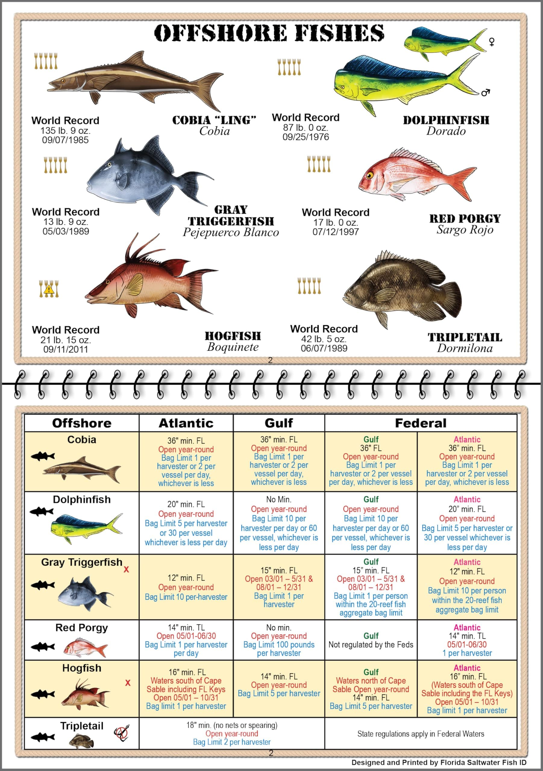 Florida Saltwater Fish Identification Book with FWC Rules, Regulations, Limits, and Sizes with 90+ Marine and Shark Photographs, Waterproof Fishing Guide, Angler and Fishermen Booklet