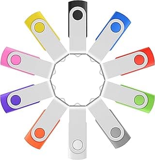 Enfain Vibrant 10-Pack of 2GB USB 2.0 Multicolor Swivel Flash Drives - Portable Thumb Drives with 12 White Labels for Customized Marking and Easy Organization