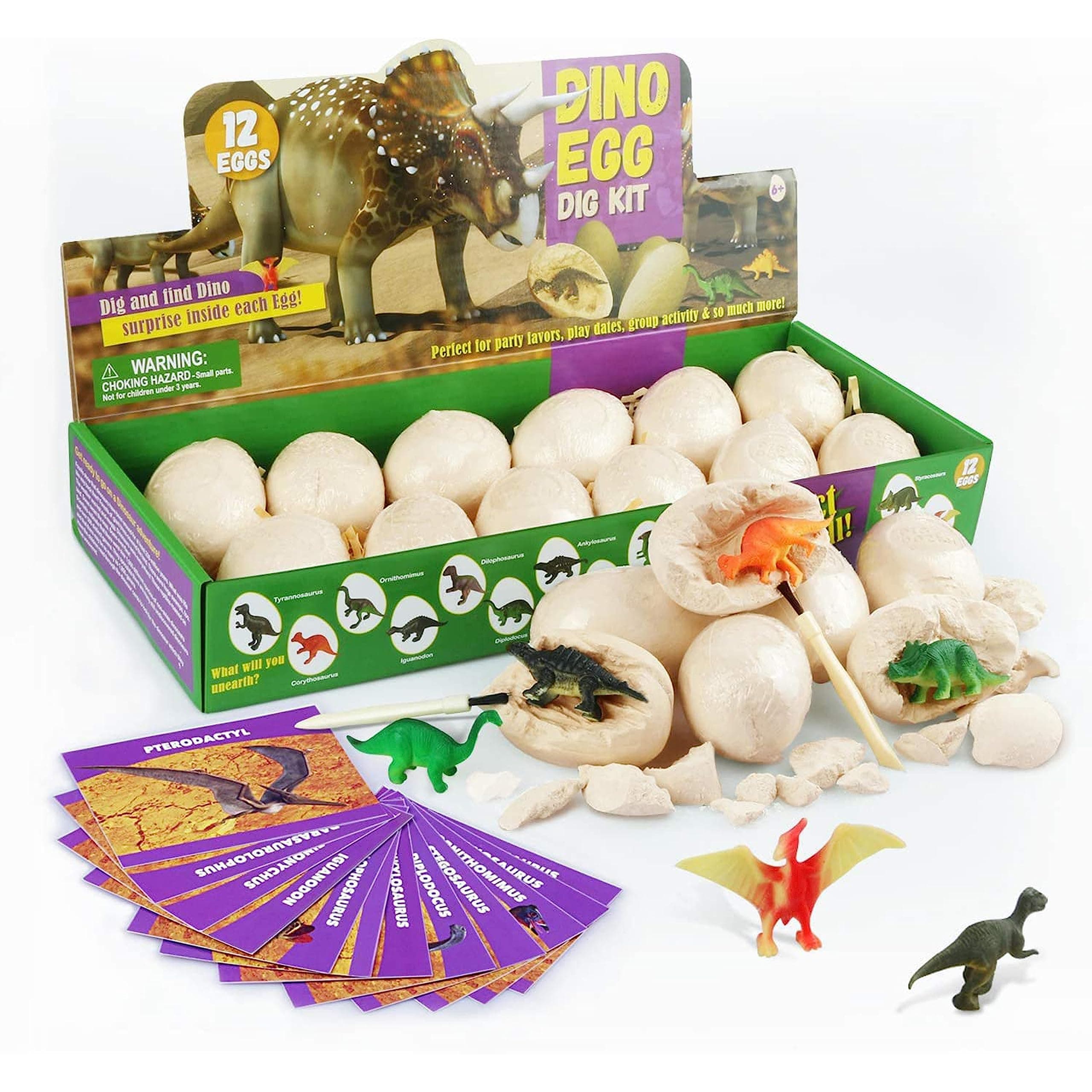 Bambibo Dino Eggs Dig Kit - 12 Eggs, Dinosaur Eggs Excavation Dig Kit | Surprise Dino Egg With Dinosaurs Inside | Dino Eggs Excavation Set | Archaeological Dinosaur Egg (12 Eggs)