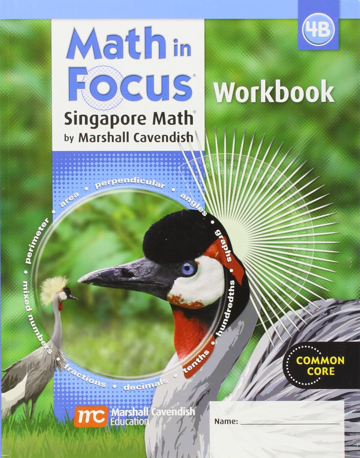 Justice and Older Americans: Student Workbook, Book B Grade 4 (Math in Focus: Singapore Math)
