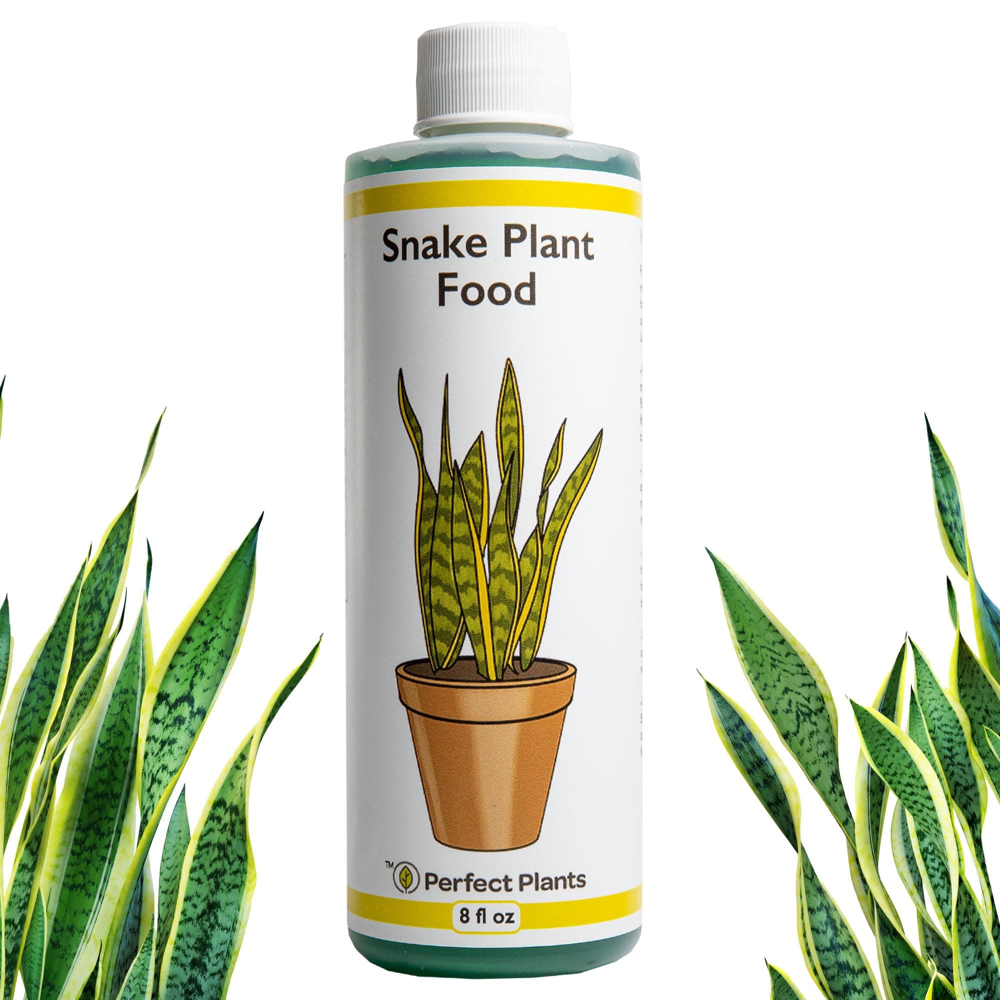 Liquid Snake Plant Fertilizer