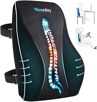Lumbar Support Pillow for Office Chair Car Back Support Pillow, Memory Foam Gaming Chair Desk Chair Back Cushion for Lower Back Pain Relief, Ergonomic Back Rest,Office Home Essentials