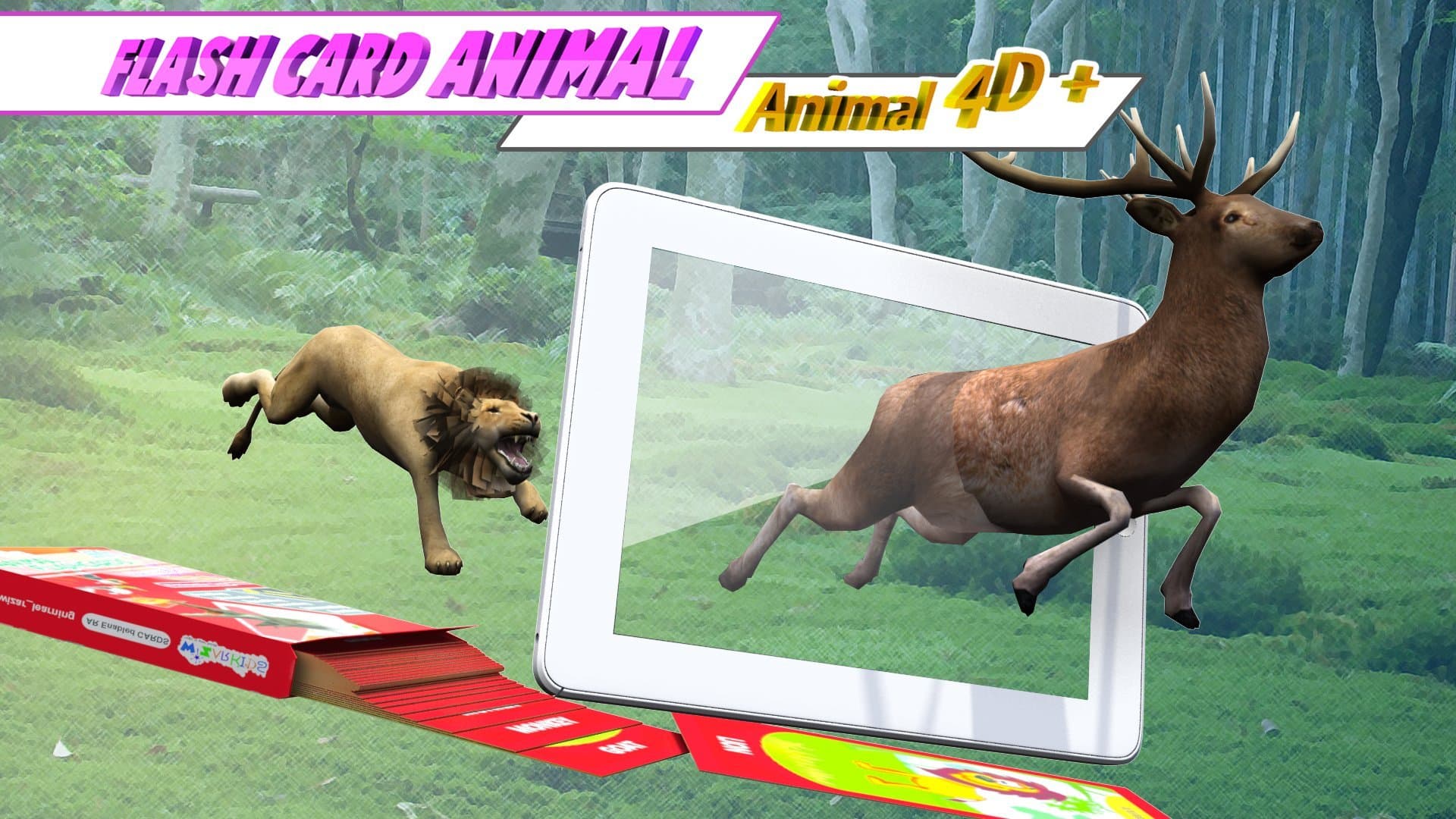 WizarKids Flashcards 4D+ Augmented Reality (Animal Flashcards)
