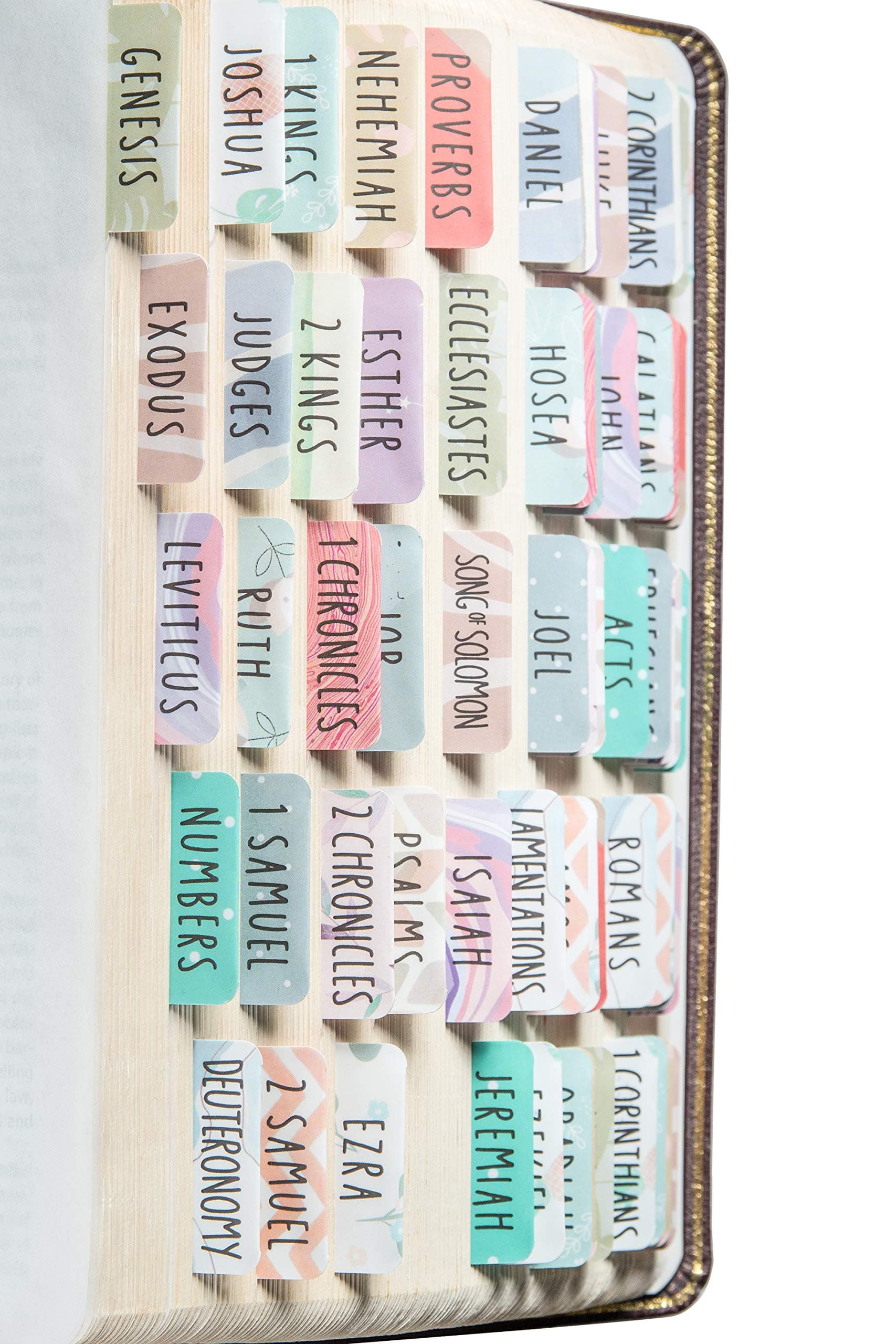 DiverseBee Laminated Bible Tabs (Large Print, Easy to Read), Personalized Bible Journaling Tabs, 66 Book Tabs and 6 Blank - Uniform Theme