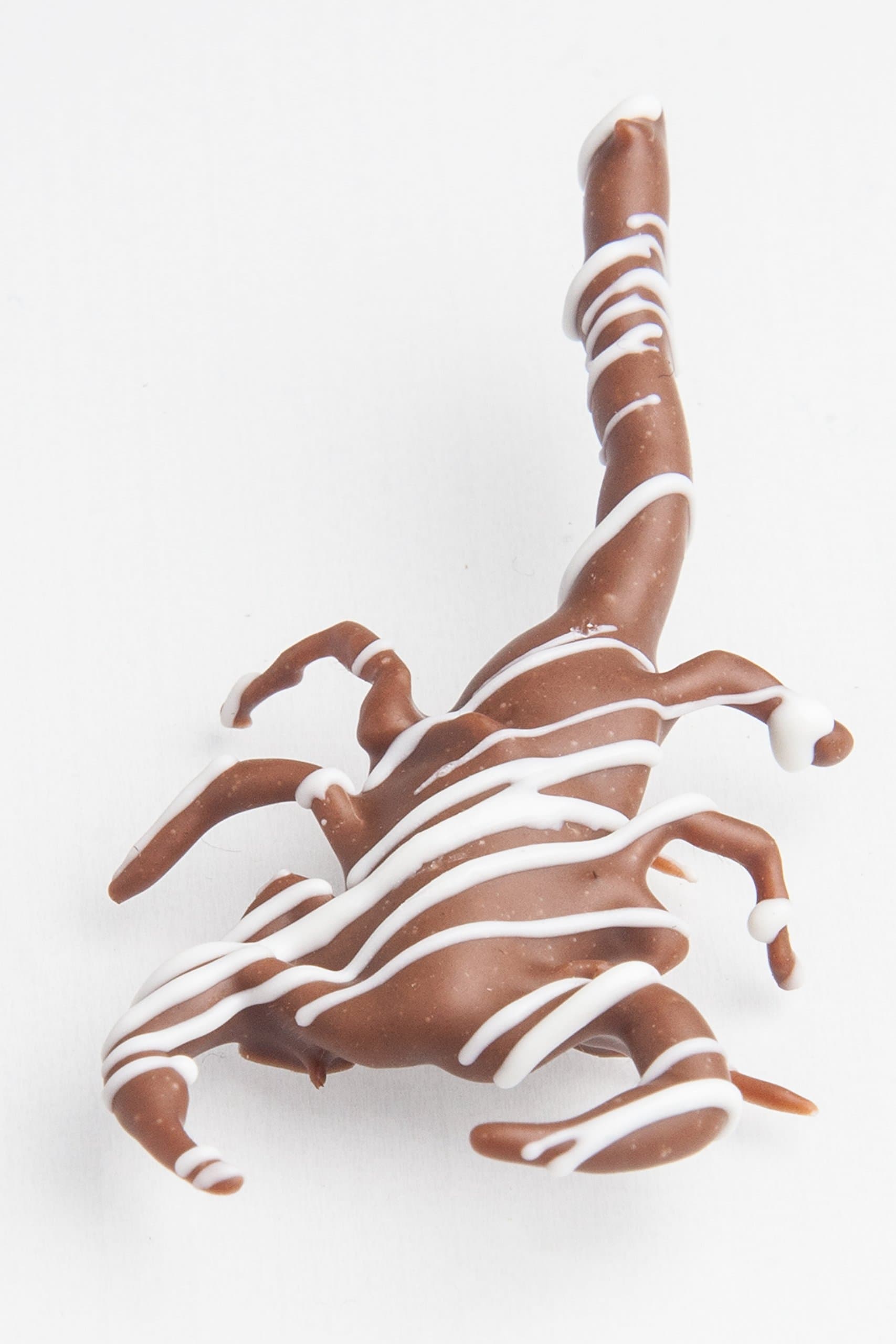 Chocolate covered Dessert Scorpion