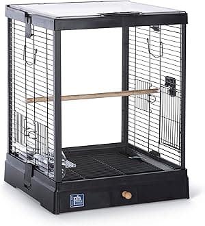 Prevue Pet Products Clear View Glass Bird Cage Crystal Palace for Small Birds - Black Frame