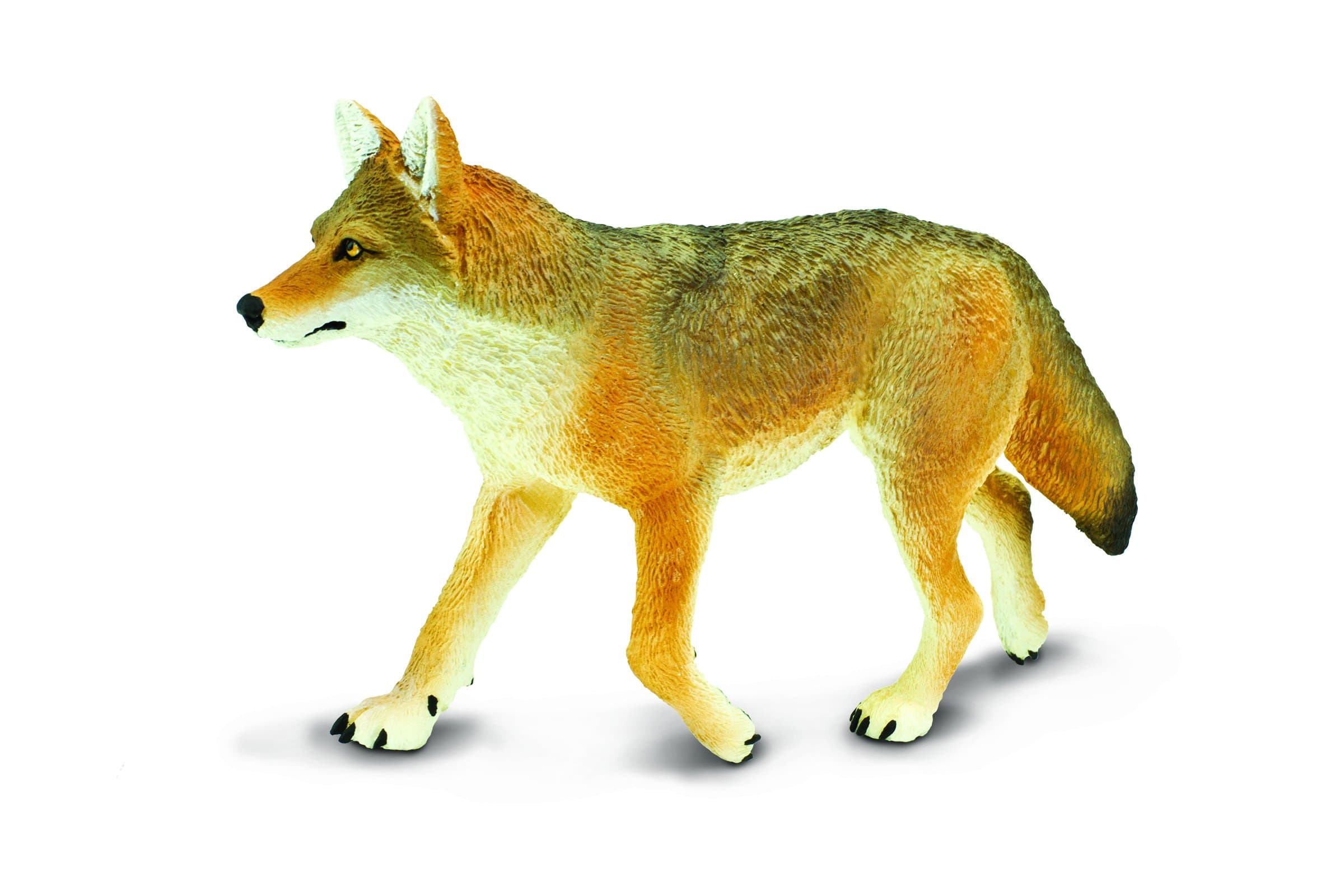 SafariLtd. 113089 Coyote